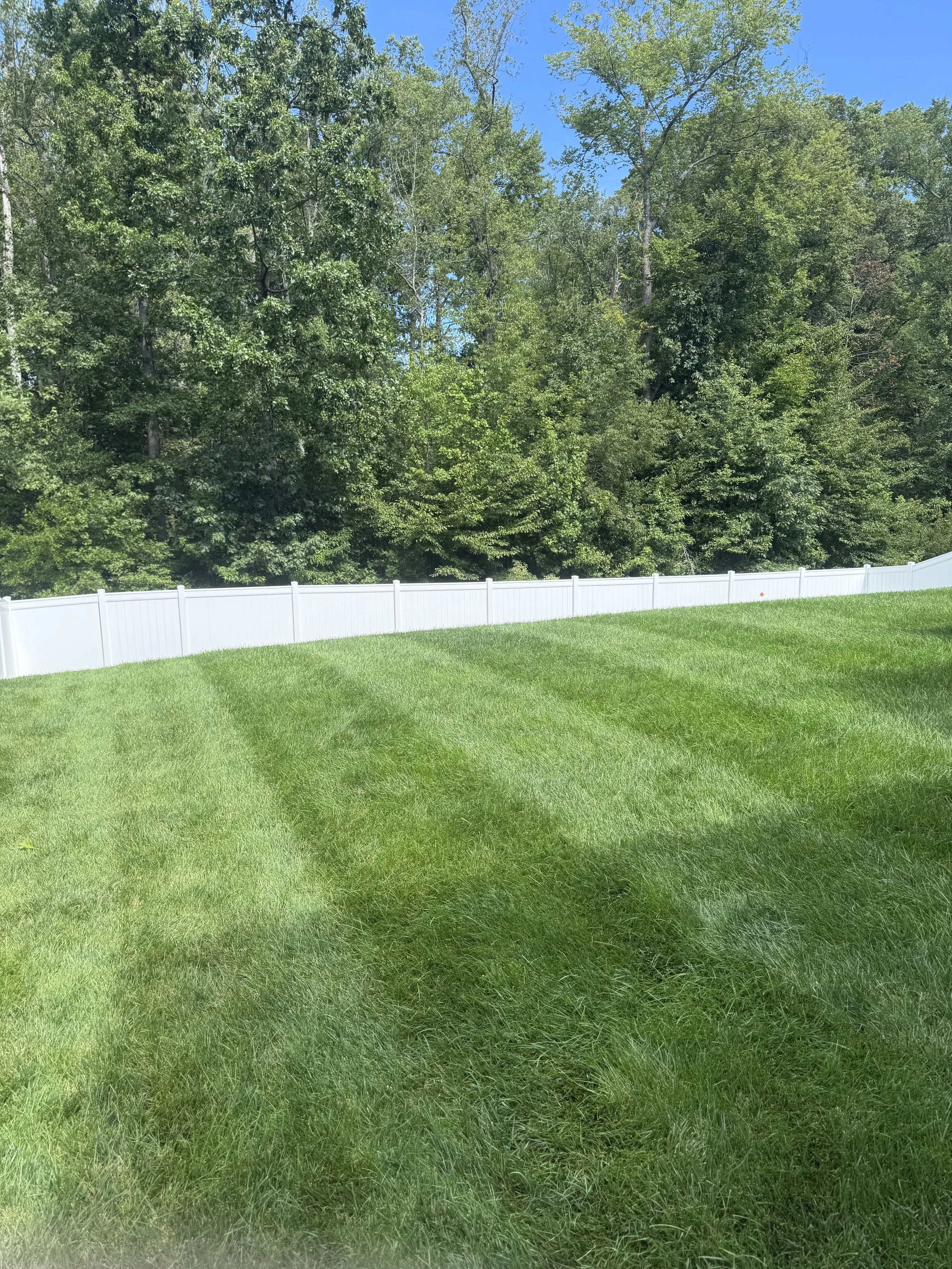 A white vinyl fence runs across a lush green lawn, with a dense line of trees and bushes in the background under a bright blue sky.