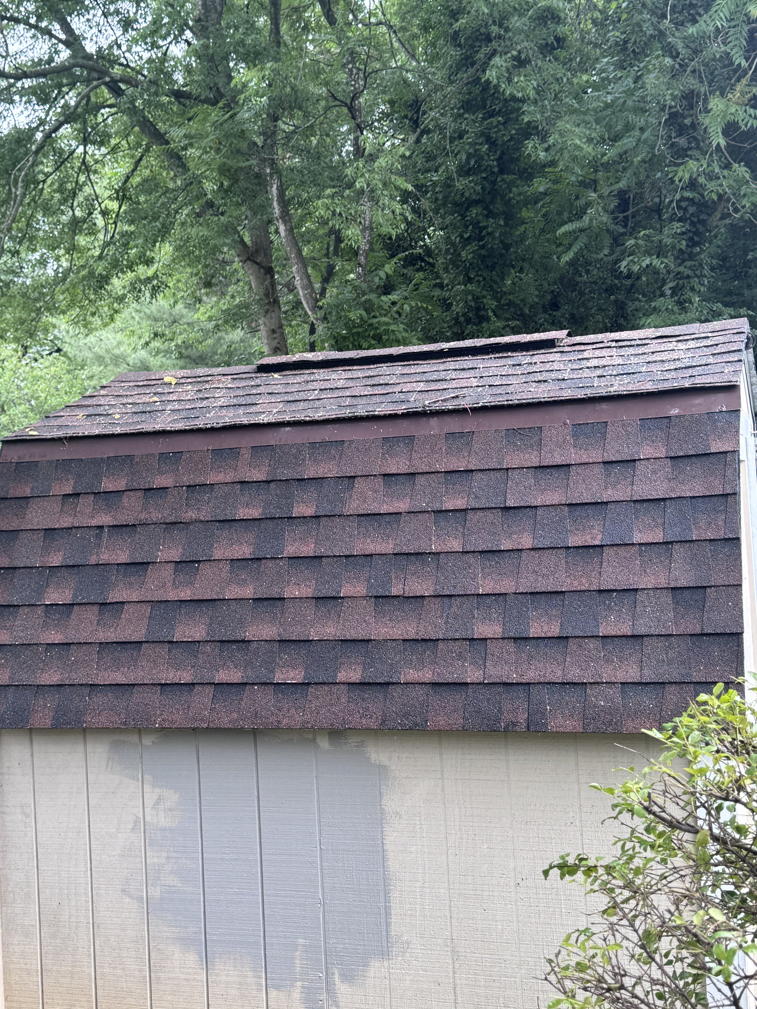 Roof Cleaning Downtown Fredericksburg Va.