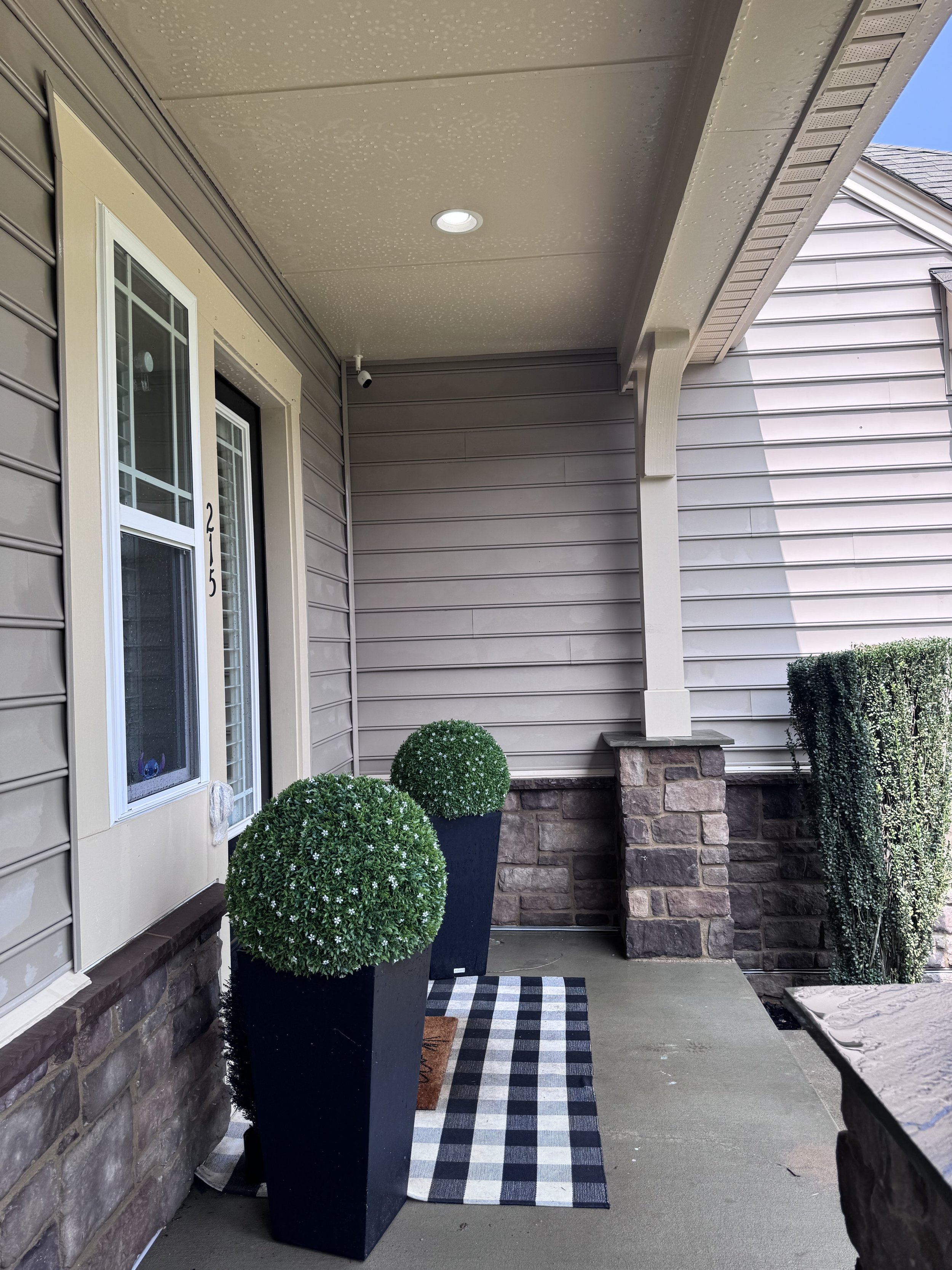 Front porch of house with stone steps, gray siding, and a white door with a glass window. Potted greenery, black and white checkered rug, and ceiling light fixture are visible.