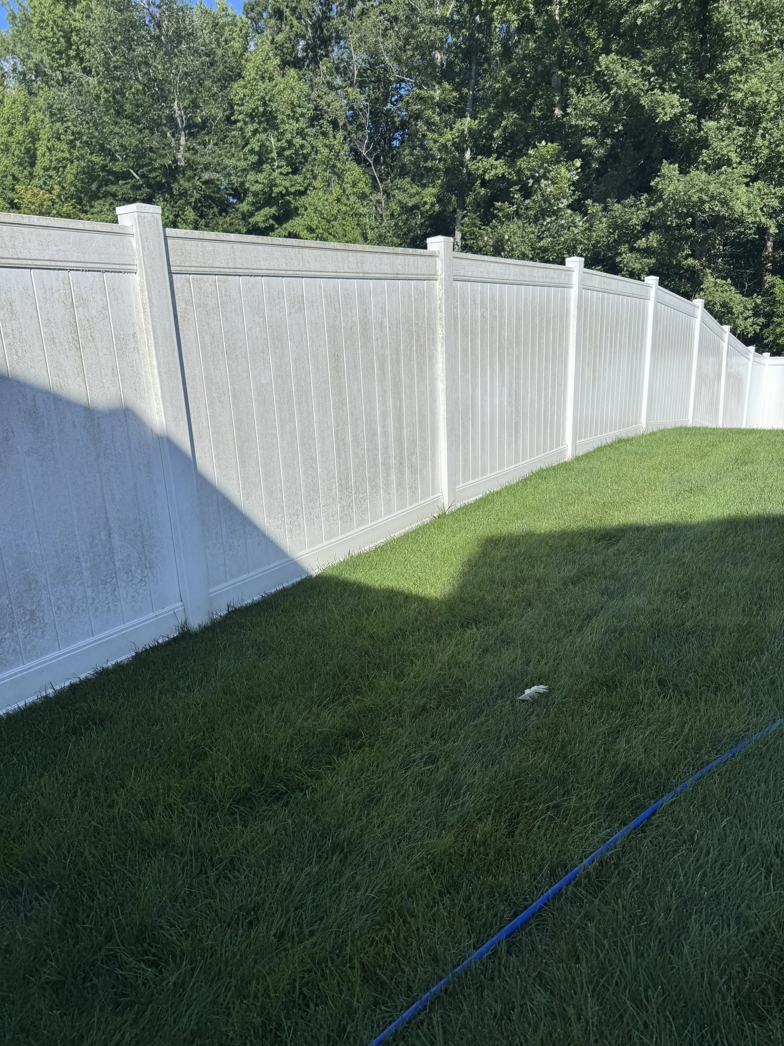 A backyard with a tall white vinyl privacy fence, green grass, and trees in the background. A blue garden hose is on the grass, with a shadow cast on the lawn.