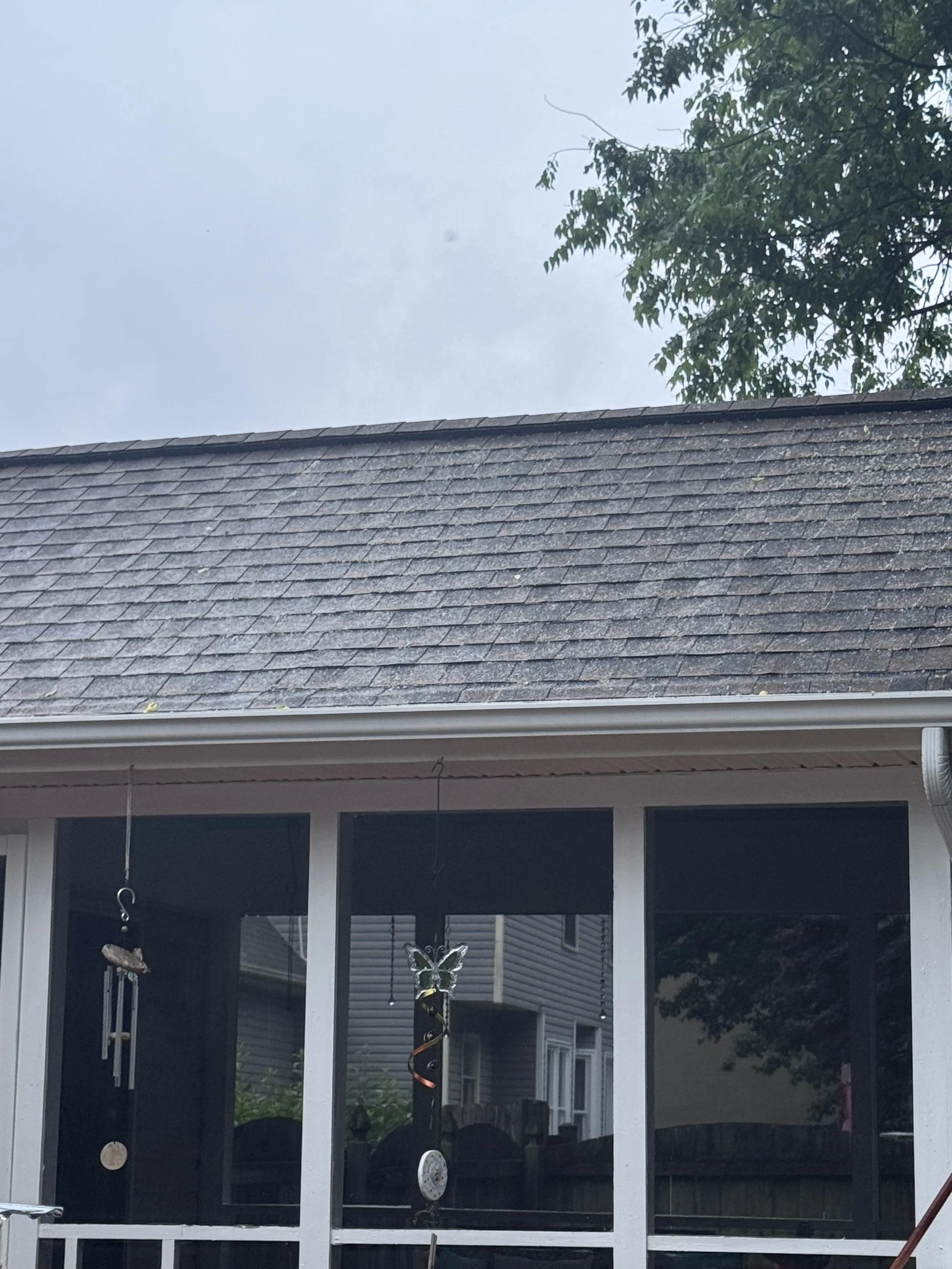 Roof Cleaning Stafford Va.