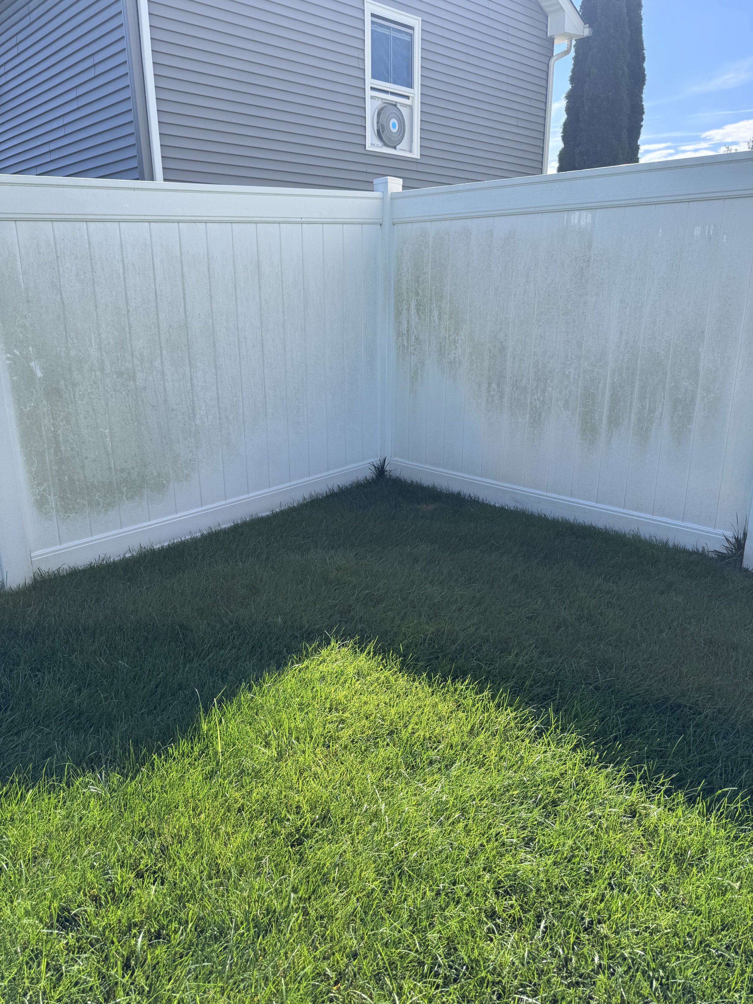 A backyard with a white vinyl privacy fence, green grass, and a blue house with gray siding. The fence has some patches of mold or mildew. There is a small patch of grass in sunlight in the foreground.
