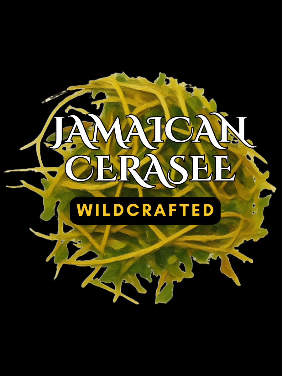 Cerasee Leaf & Vine 🇯🇲