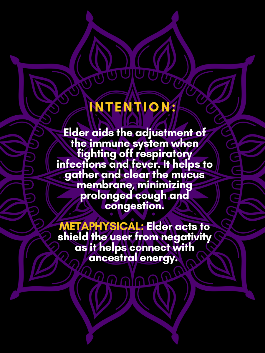 2 oz Tincture bottles -4.png