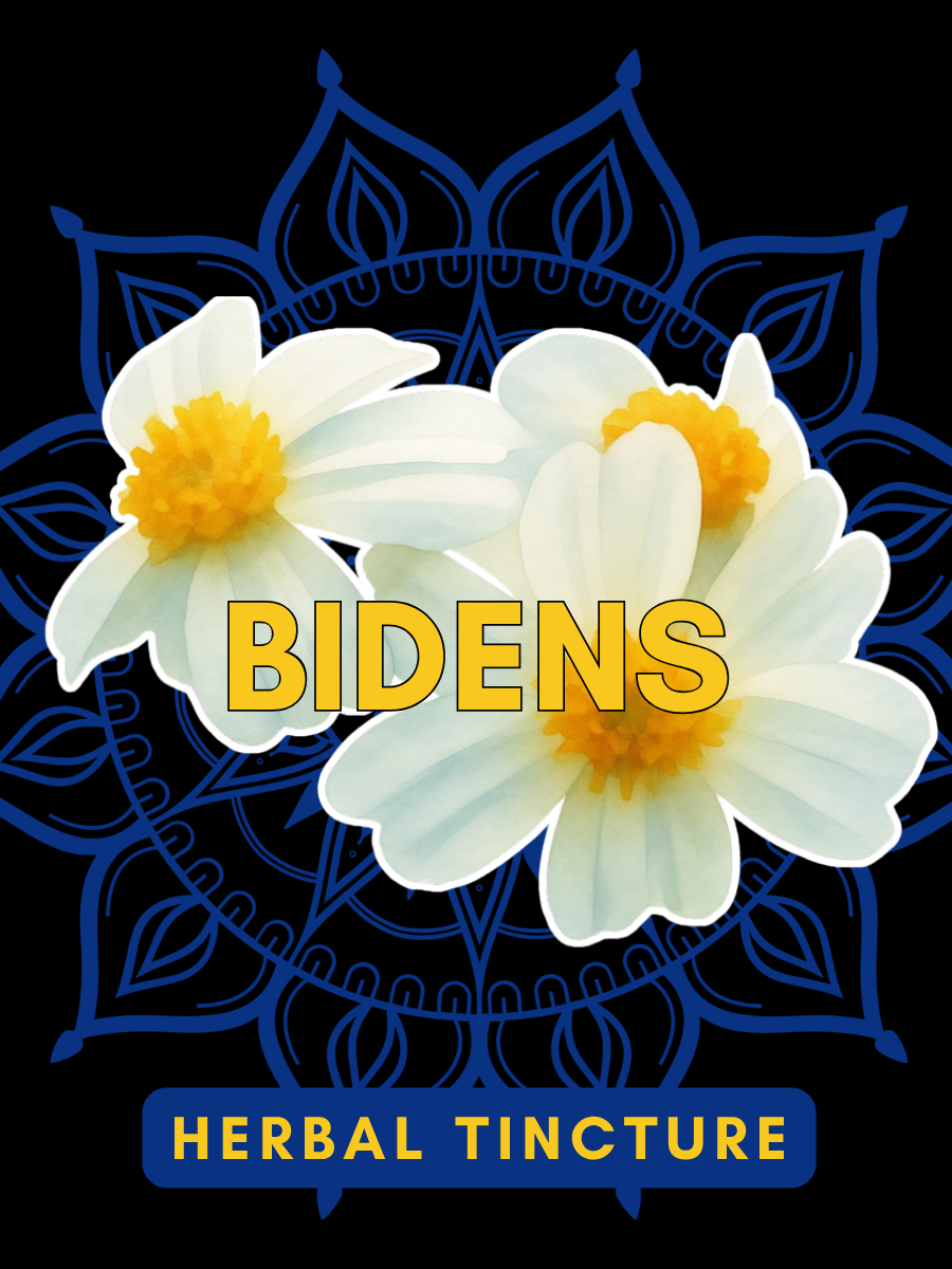 Bidens Tincture