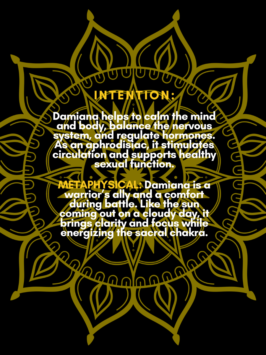 2 oz Tincture bottles -5.png