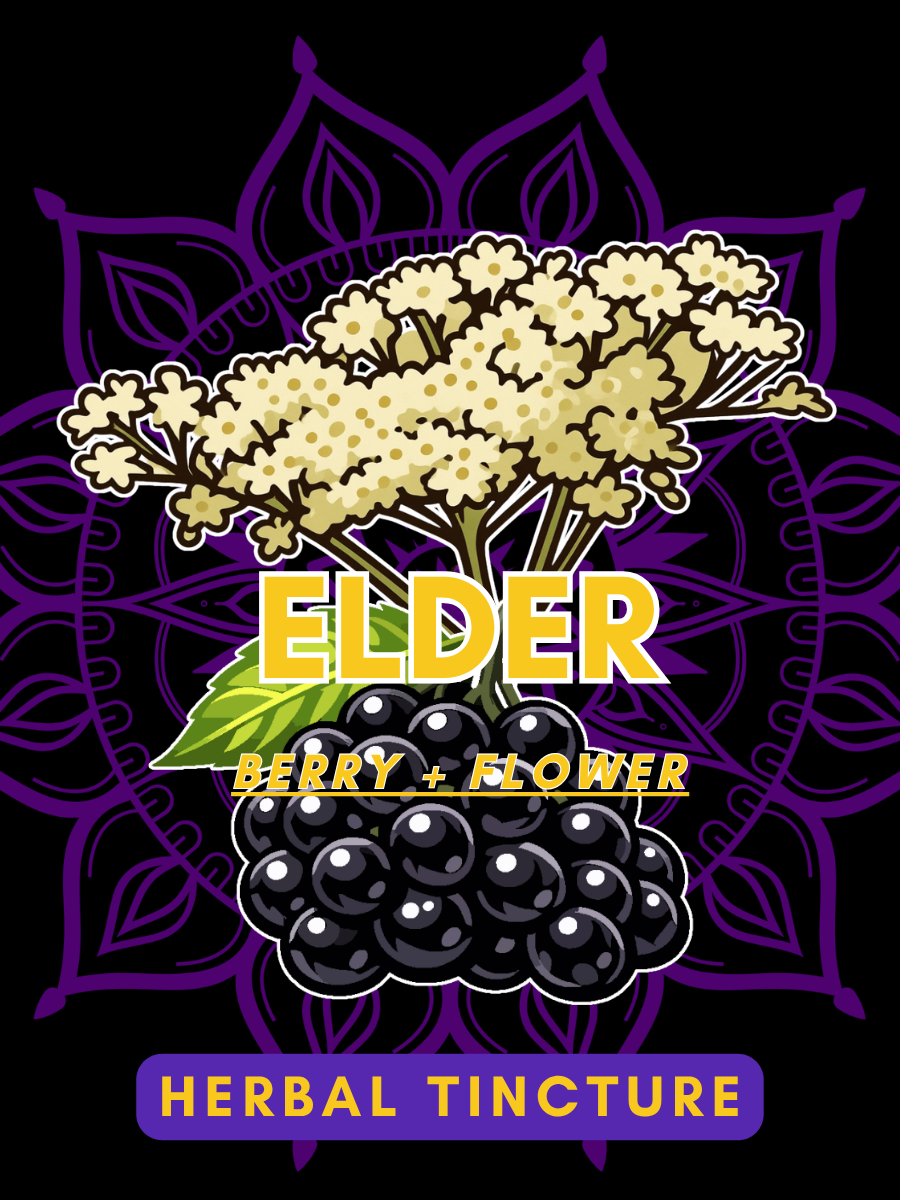 Elder Tincture