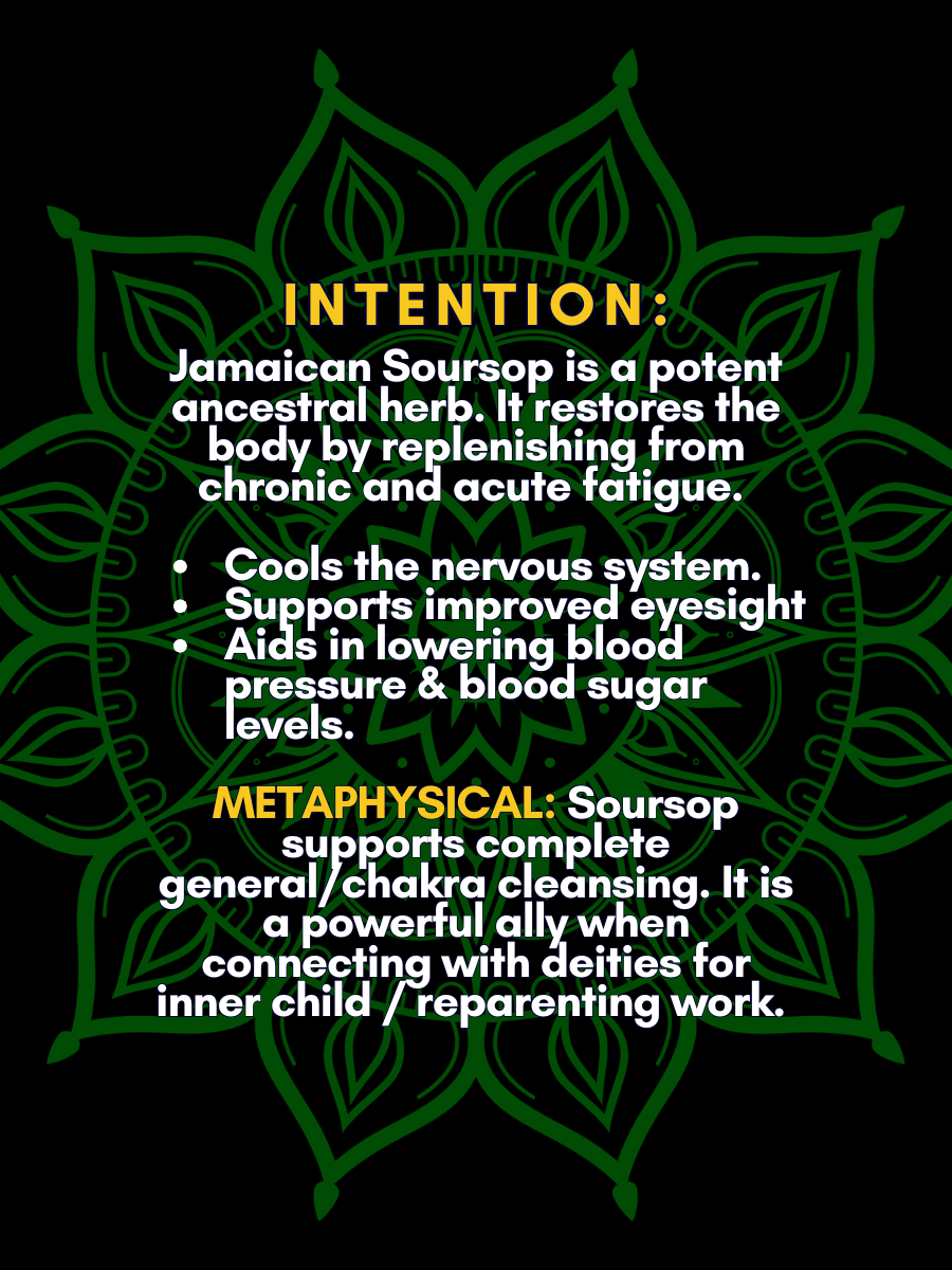 2 oz Tincture bottles -2.png