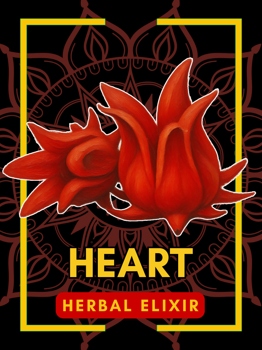 Heart Elixir 🫀🇯🇲