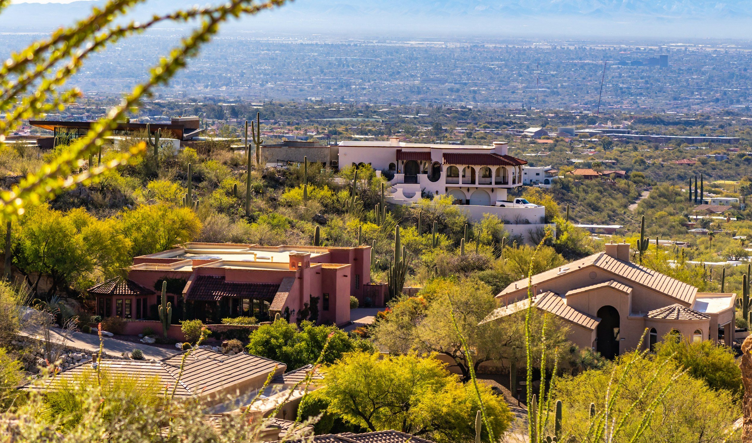 Southwest landscape with homes, saguaro cactus, palo verde trees, and city view