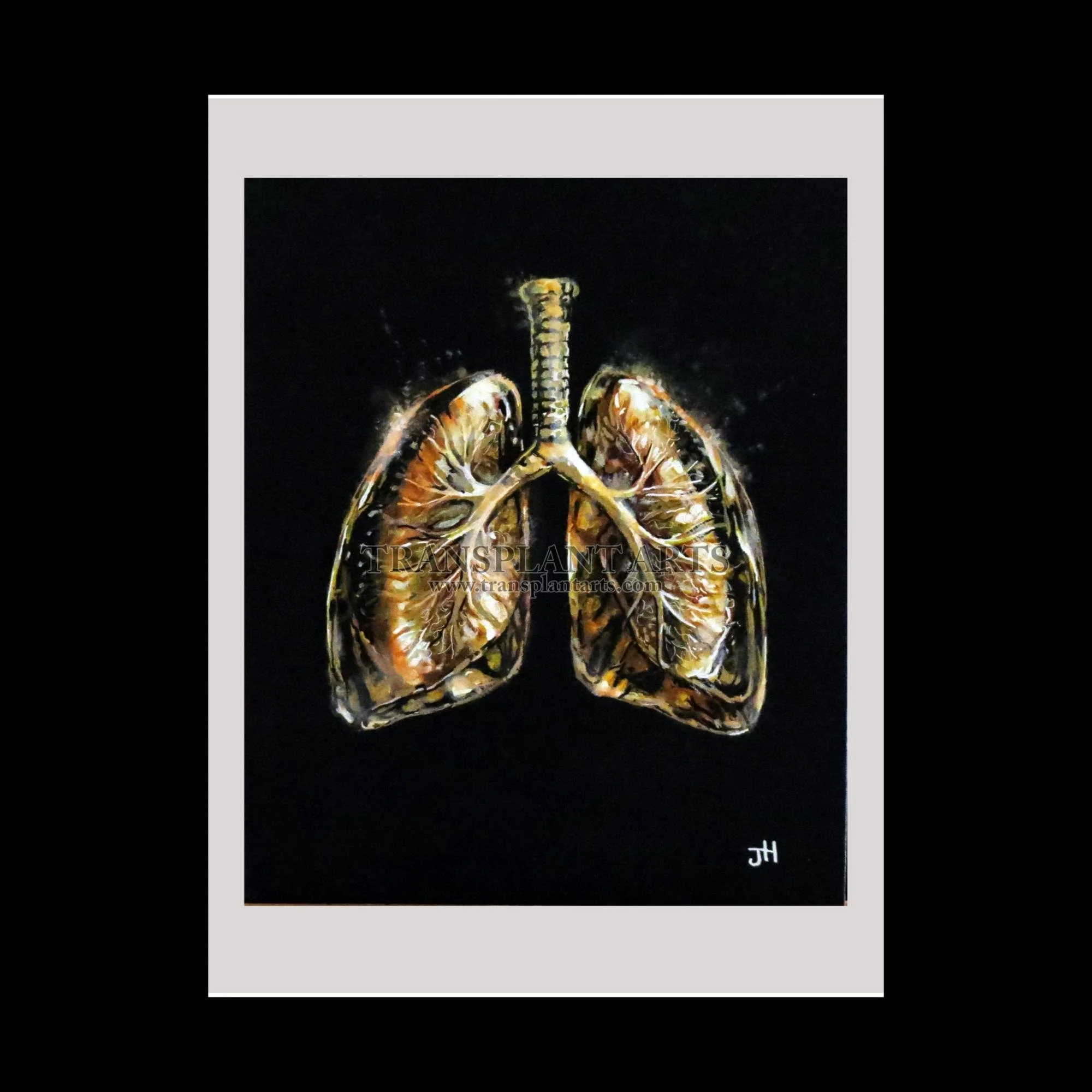Lungs