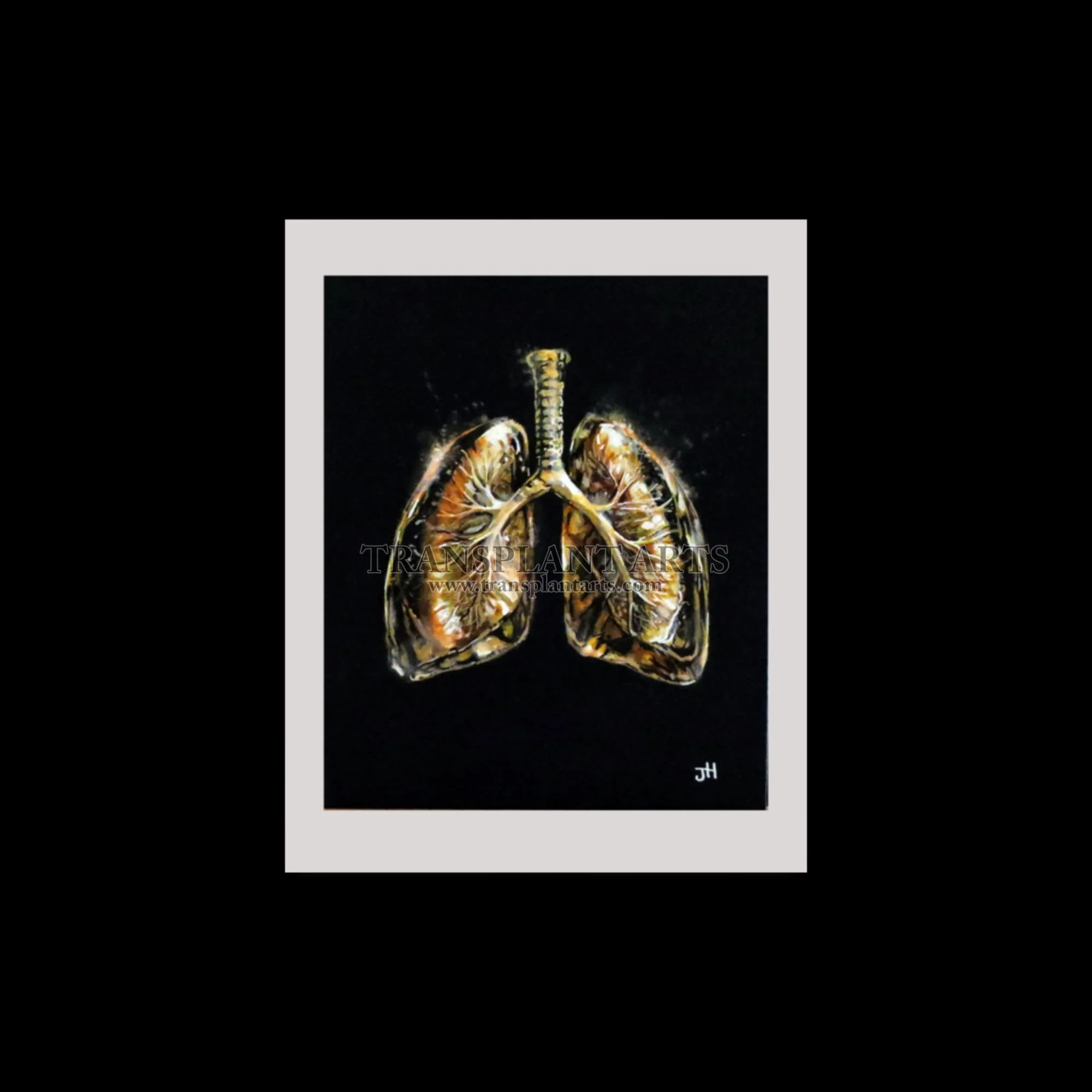 Lungs