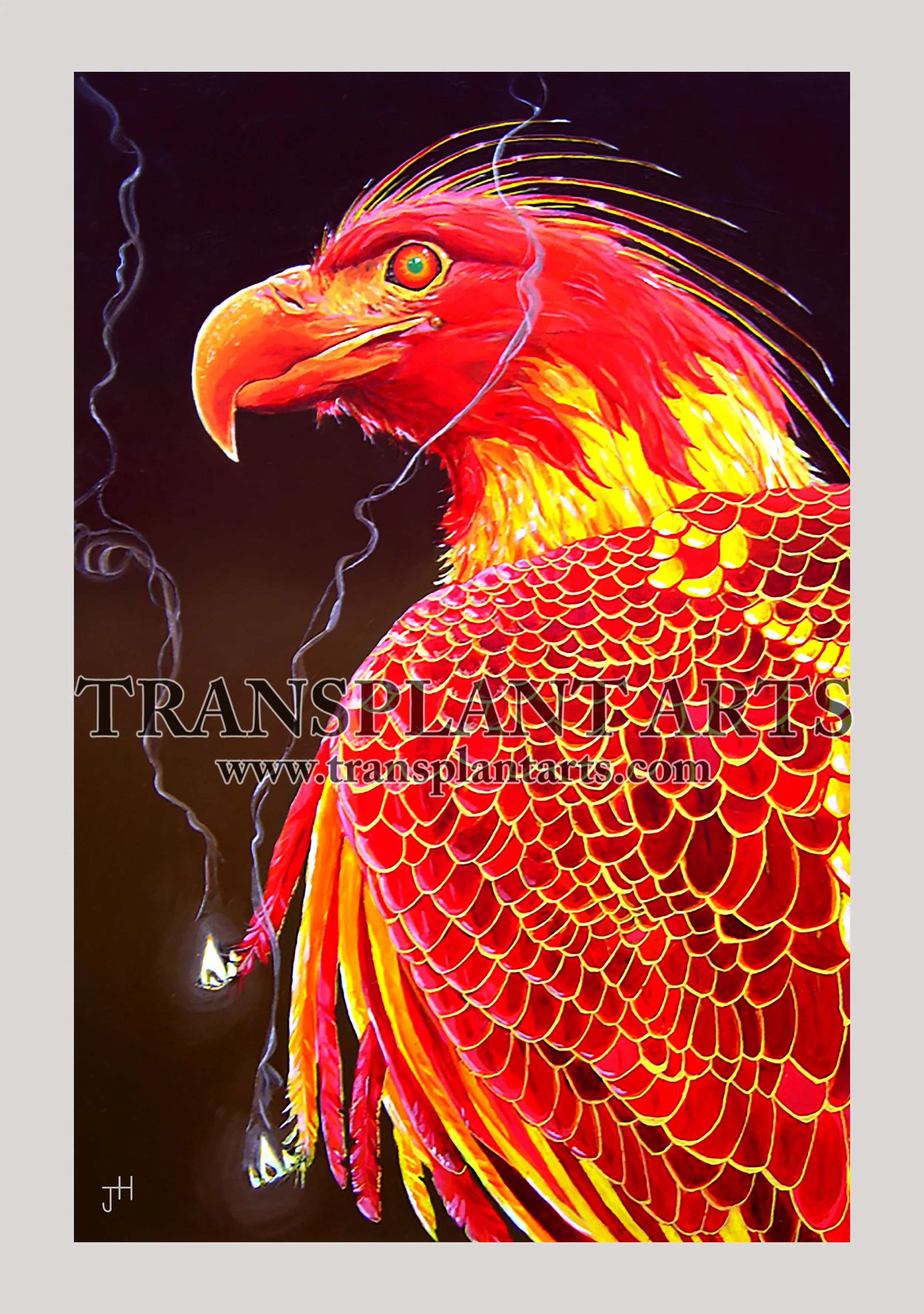 Pheonix-transplant-arts-jack-hoyle-watermark.jpg