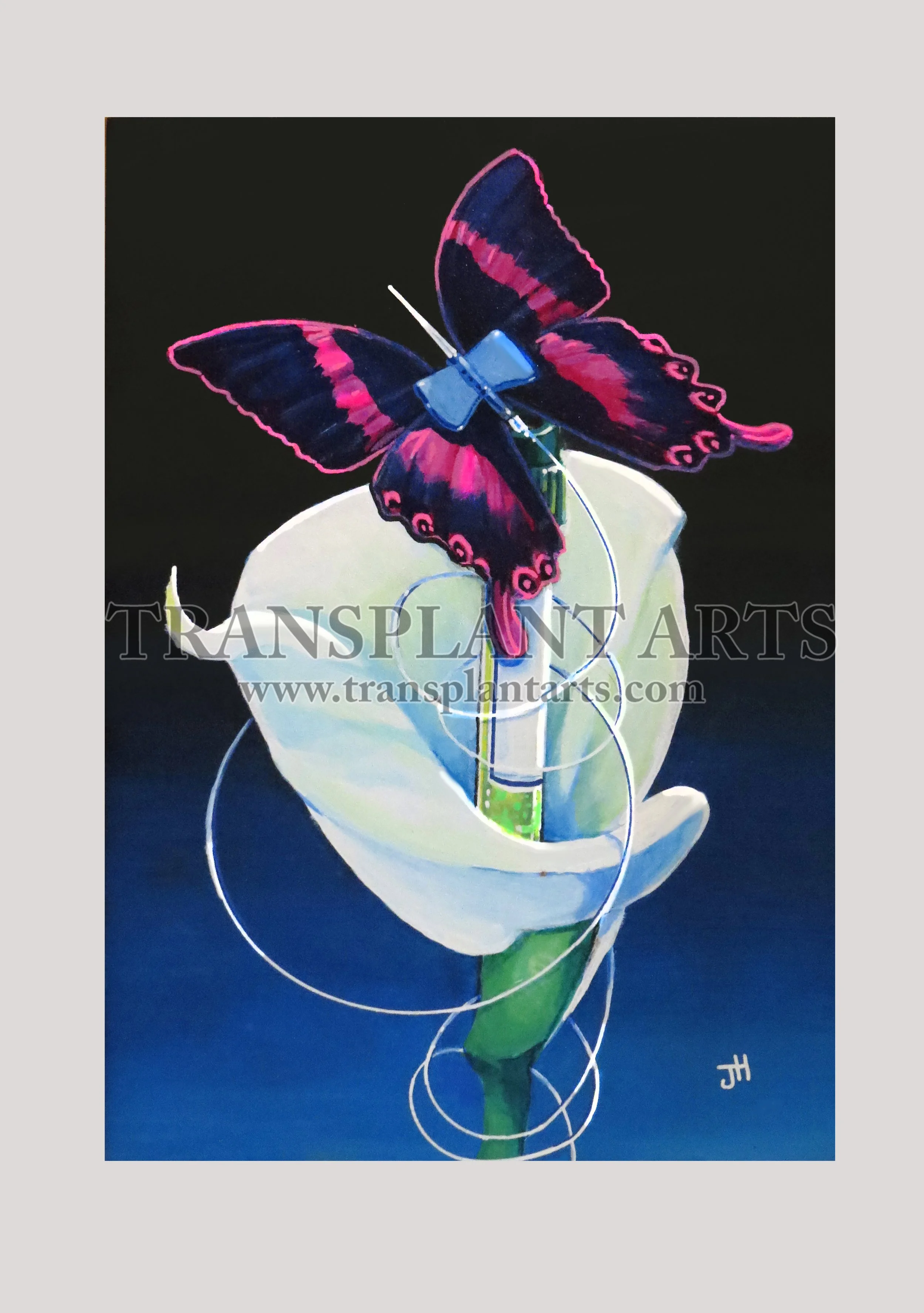Butterfly-Needle-transplant-arts-jack-hoyle- watermark.jpg