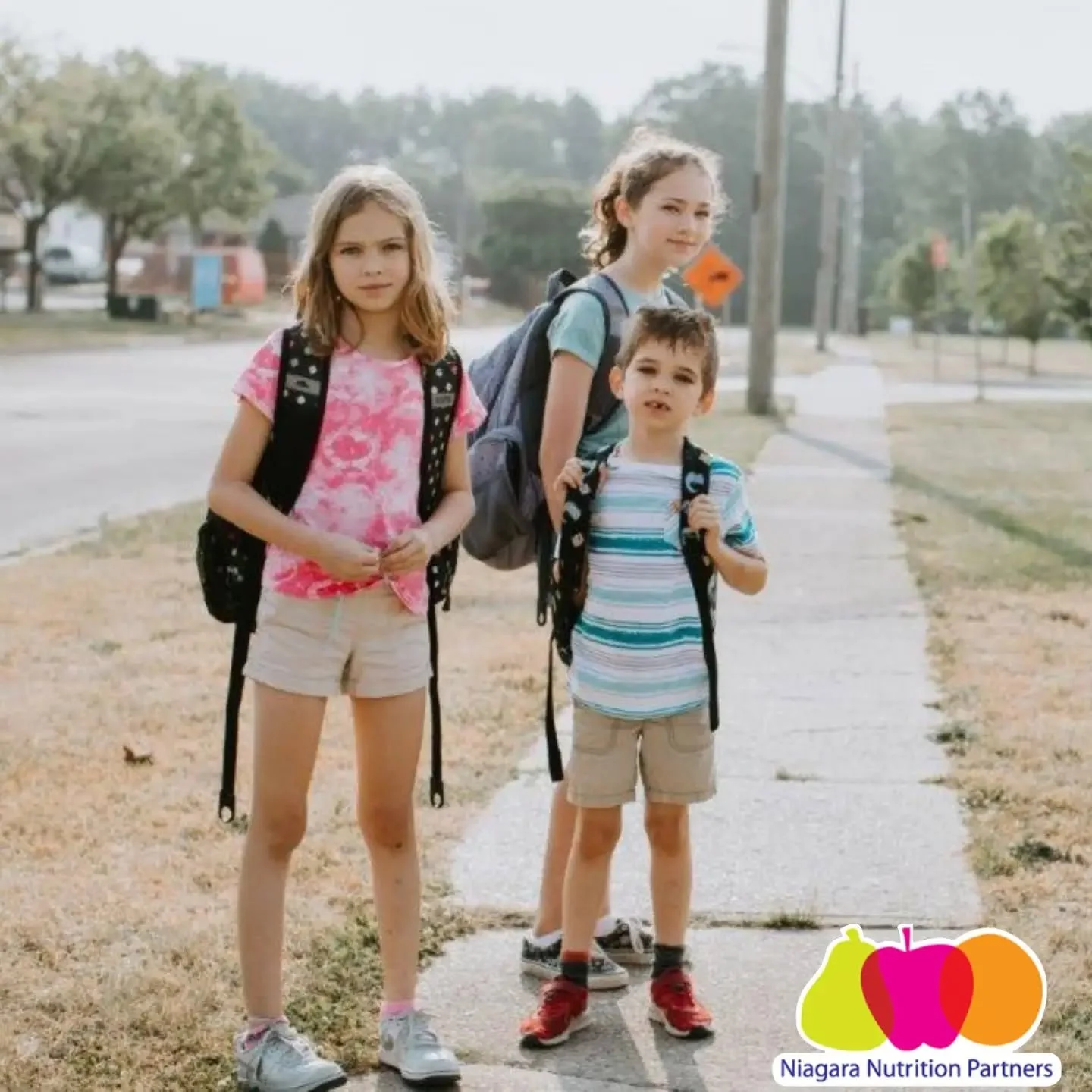 As the first day of the new academic year approaches, our staff is working hard to get Niagara schools ready to welcome students back to their nutrition programs! 🤗🍎📚

With programs in 222 schools and over 30,000 students receiving nutritious food