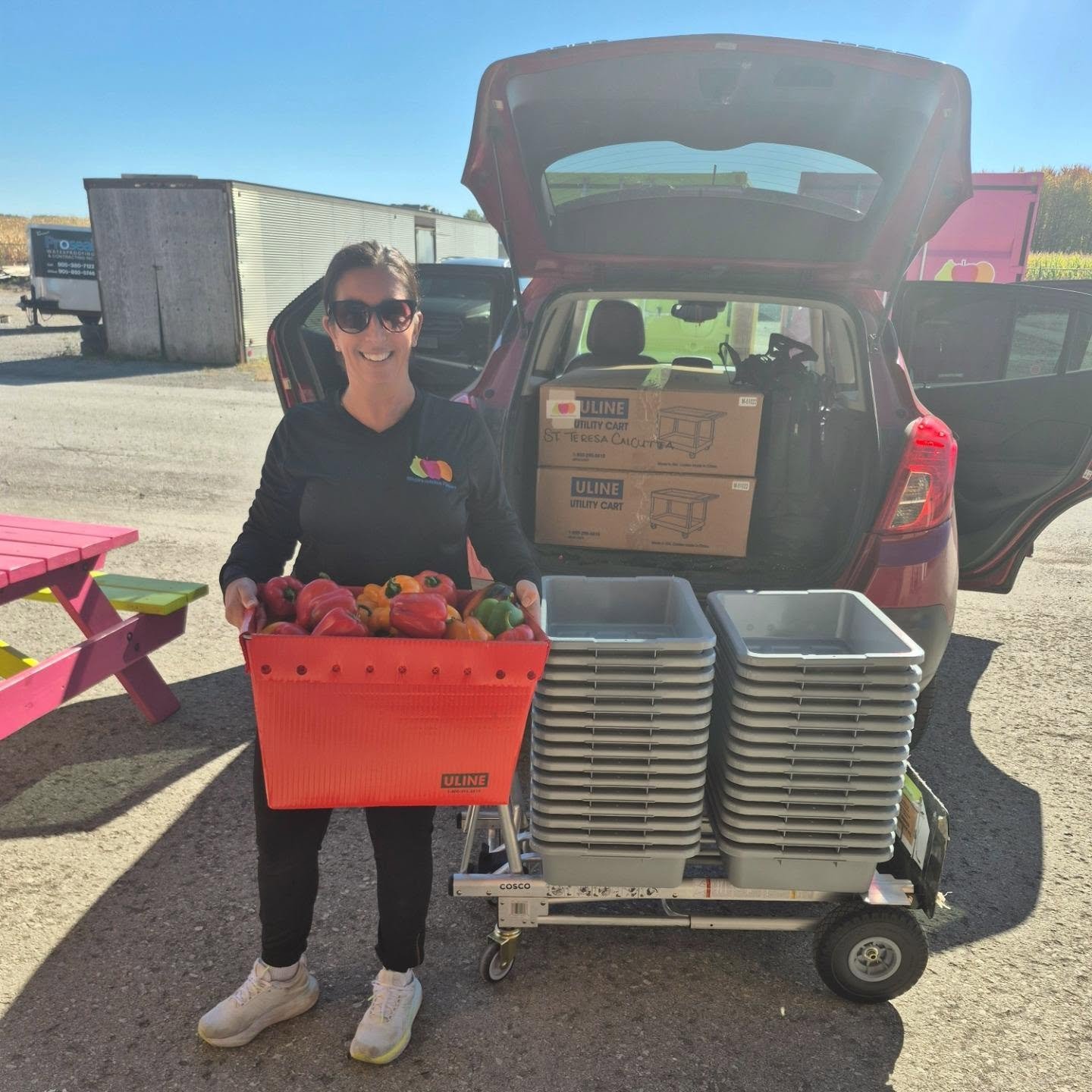Load it up!! 🚗 🫑

School Support Coordinator Leeann had a packed car today with carts, bins, ice packs, fridge thermometers, cooler bags and fresh peppers to go to schools. NNP has been busy this fall ensuring that every achool in Niagara has a ful