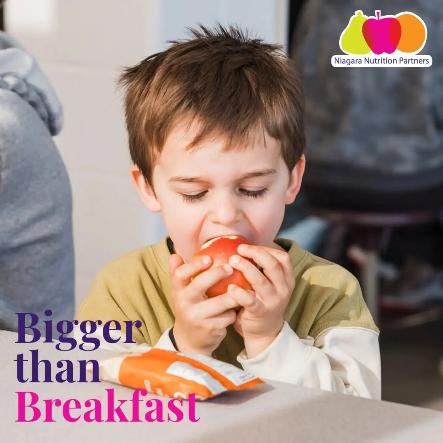 "Students do better when they have access to nourishing food". 🍎🤸&zwj;♂️
-Jessica Stephenson, Director, Niagara Nutrition Partners

NNP works diligently to provide the infrastructure and support needed to nourish students and strengthen c