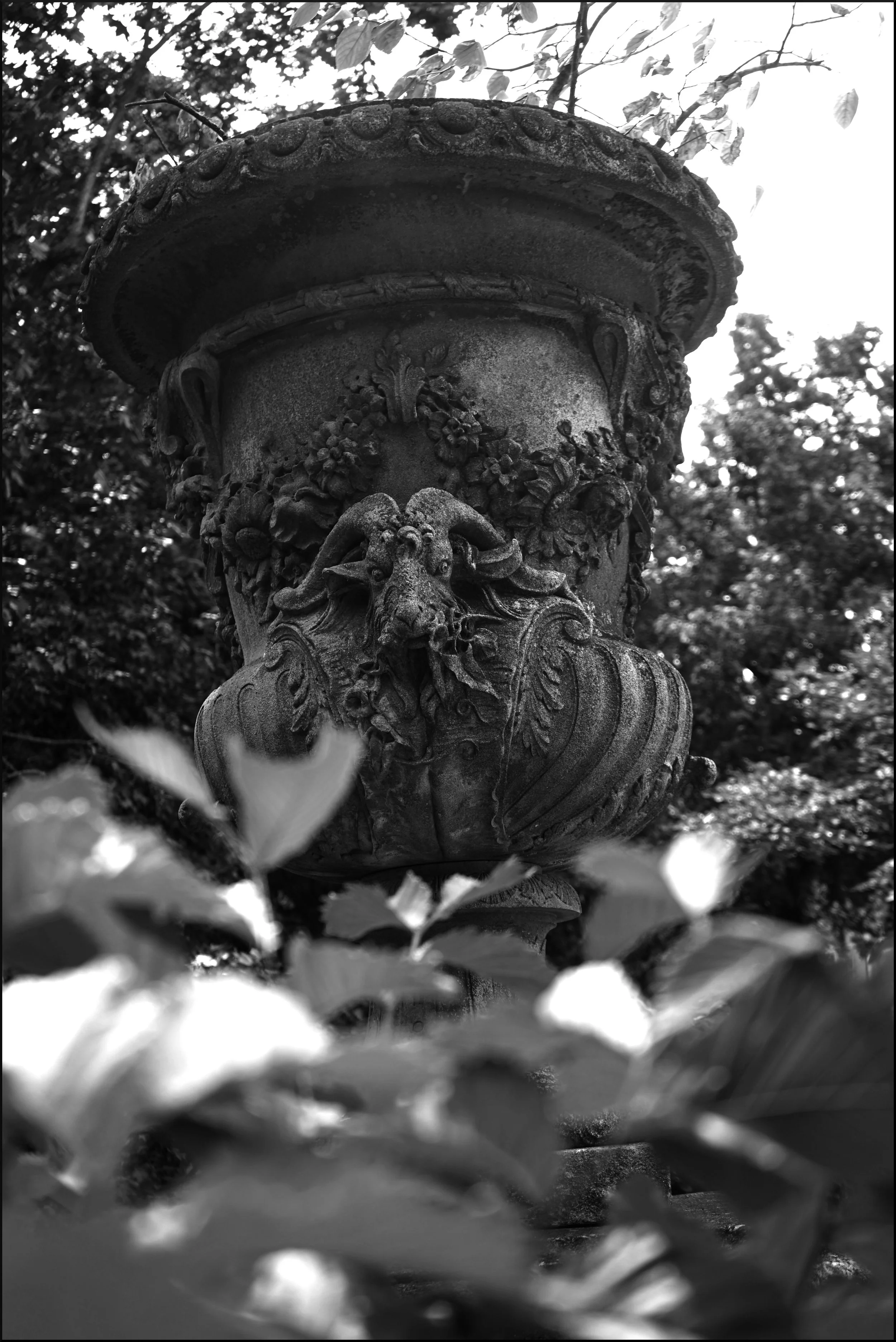 Film Noir "LuxYourEye"  (Photography)