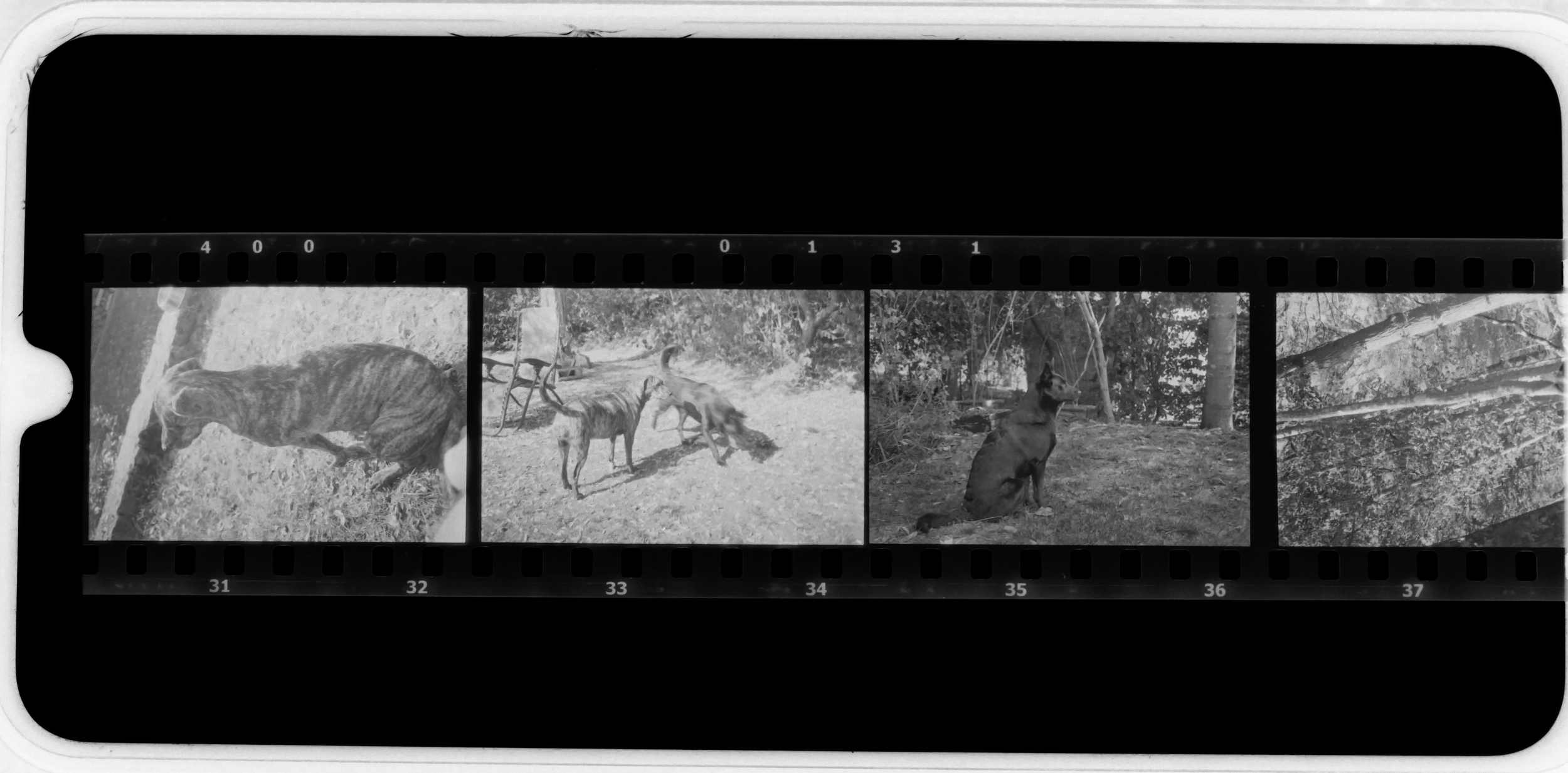 Analog Film B&W Development - Private Workshop (1-on-1, Luxembourg Only)