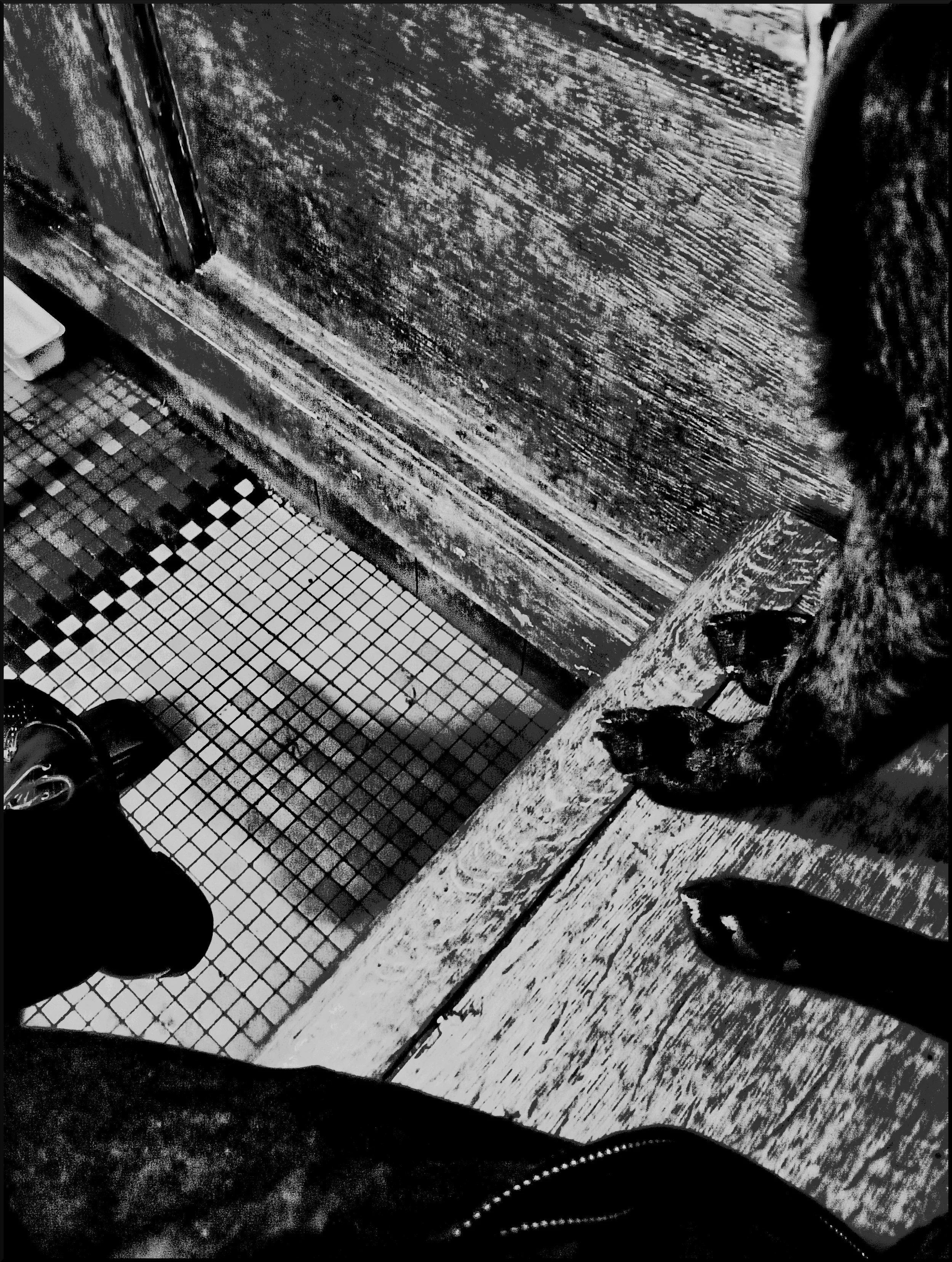 Companionship - Taken on Sony a7 (Location: Interview Cafe, Luxembourg City)
