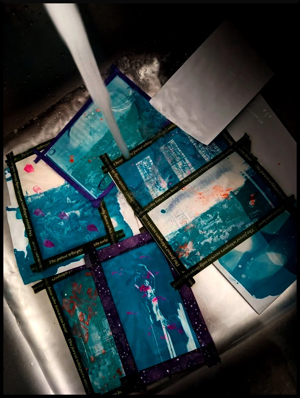 Luxembourg Blues (Cyanotypes)