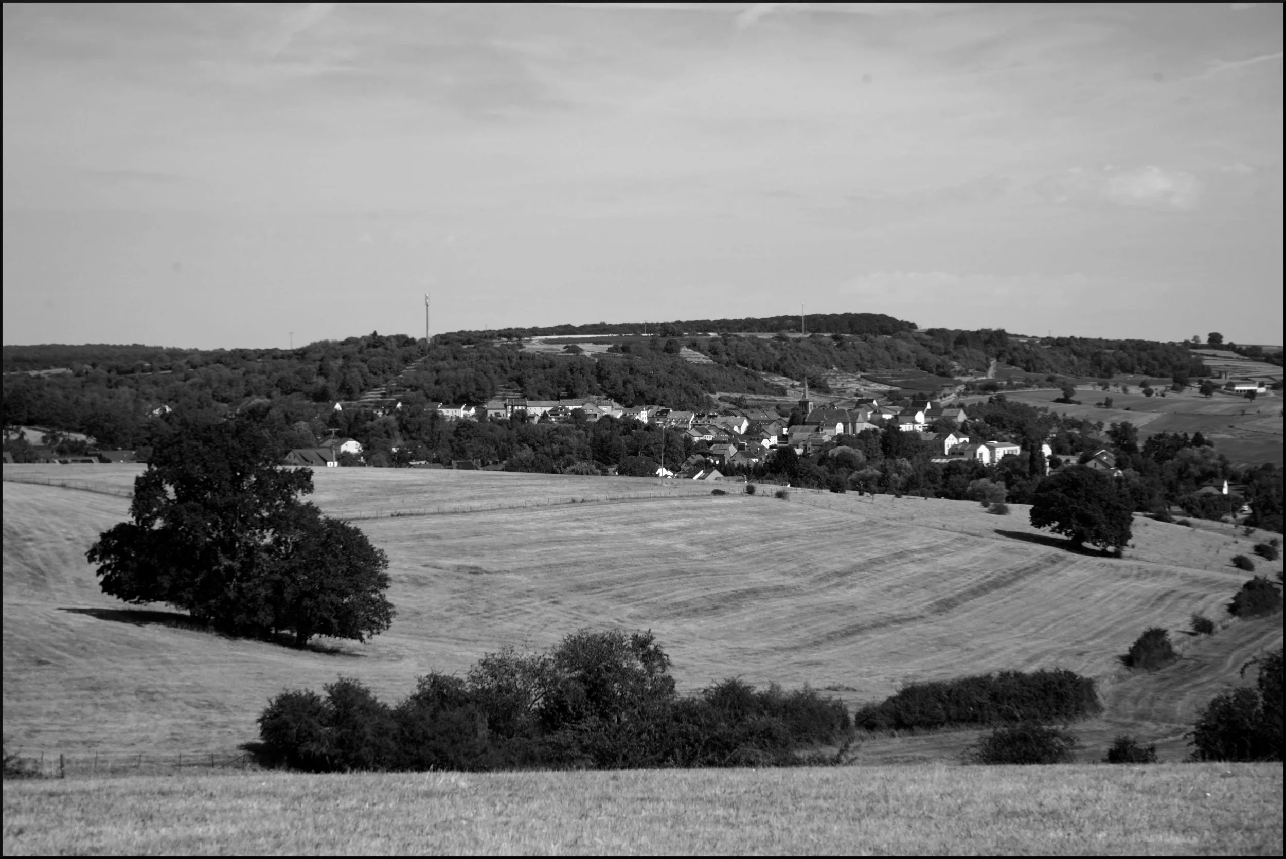 In The Shade of Old Friends - Location: Gostingen - Taken on Sony a7 