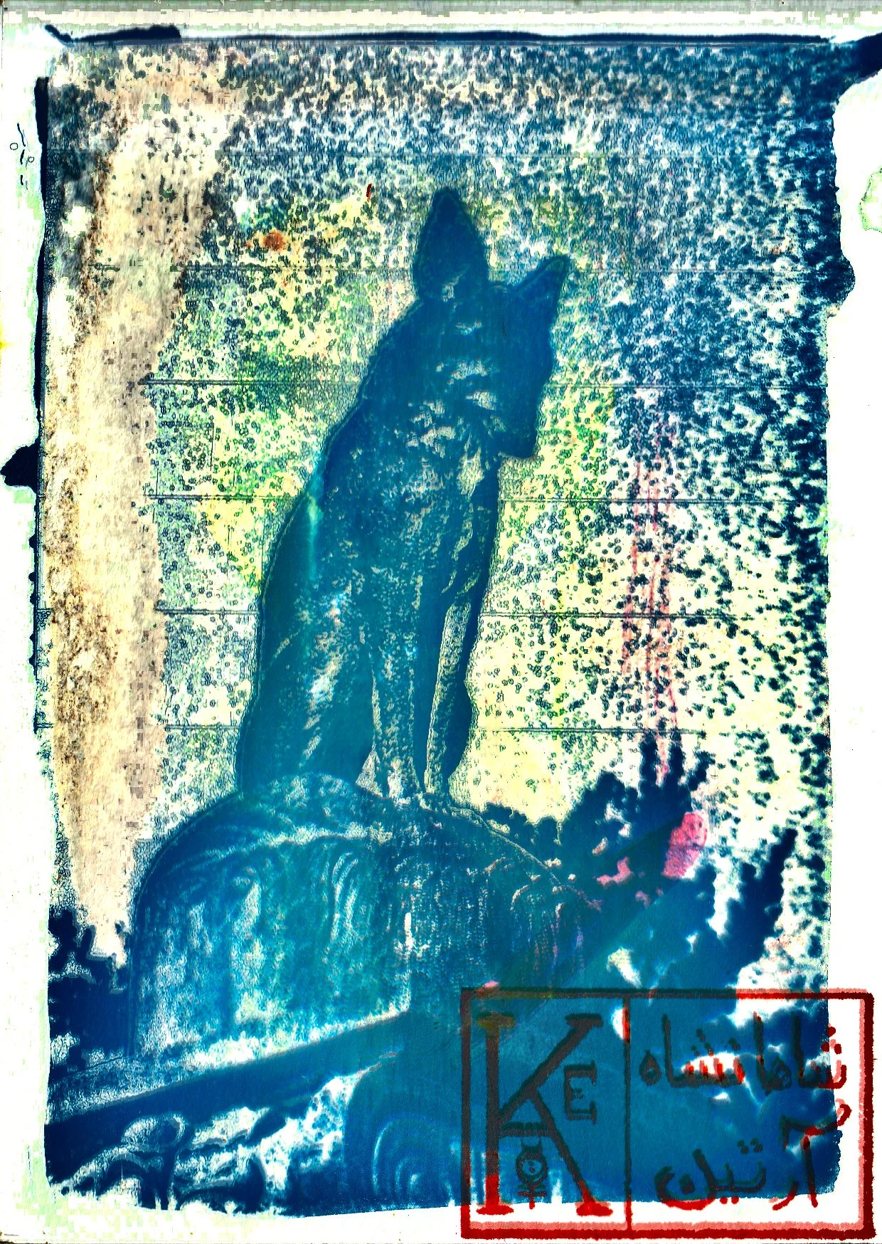 Den Renert - A6 Cyanotype & Acrylic
(Photo taken on Sony a7)