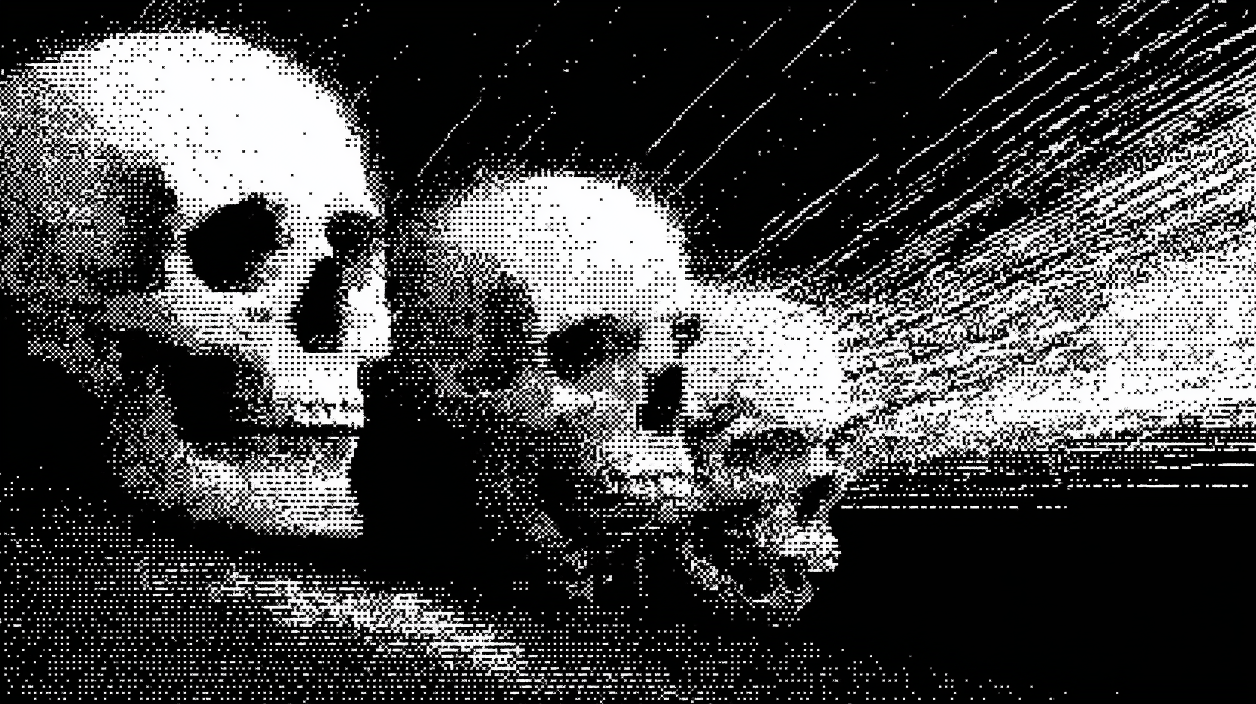 u4413126826_white_abstract_skulls_shooting_across_the_sky_like__96072b50-36e8-4a67-b5c2-a9694295a0bf.png