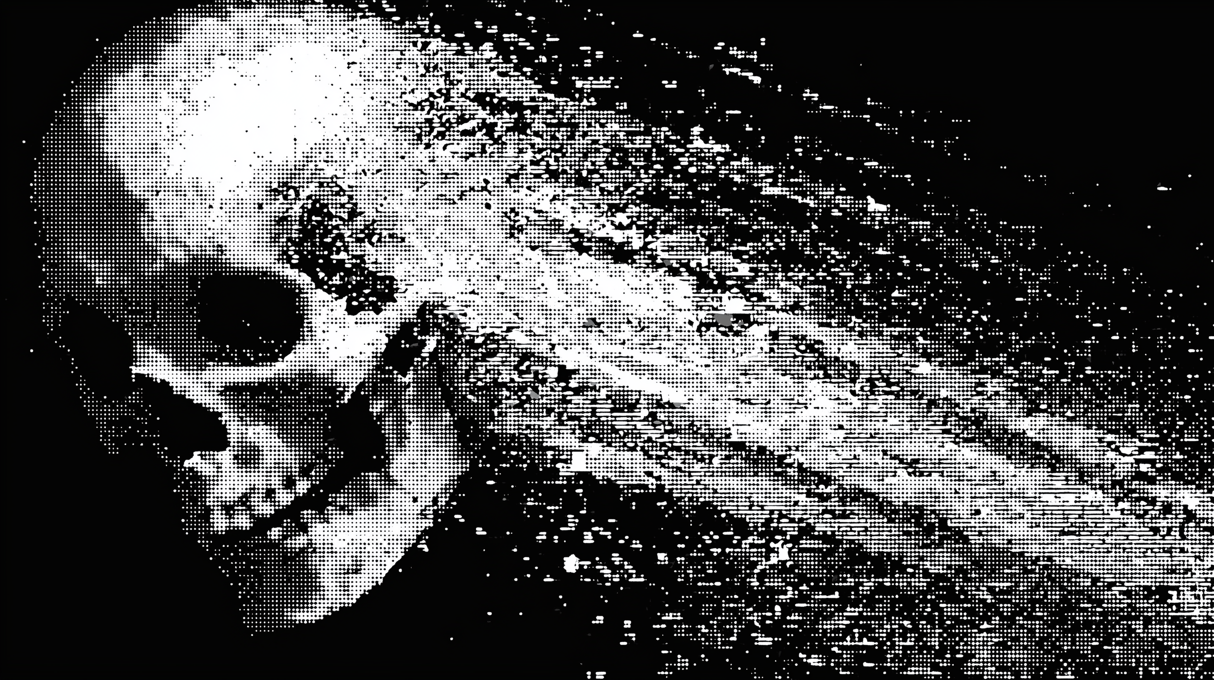 u4413126826_white_abstract_skulls_shooting_across_the_sky_like__b5affe19-d24e-443b-b743-3141e64b48c1.png