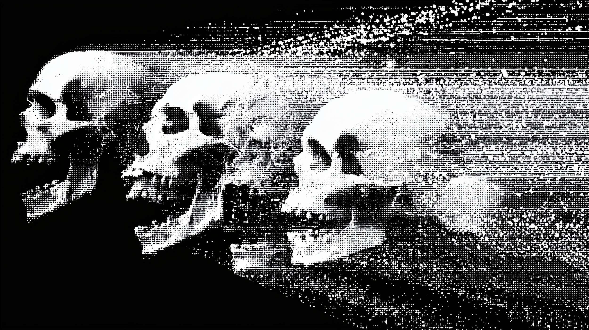 u4413126826_white_abstract_skulls_shooting_across_the_sky_like__95acfc58-6ed9-44b7-a8d2-bd8b131e6c55.png