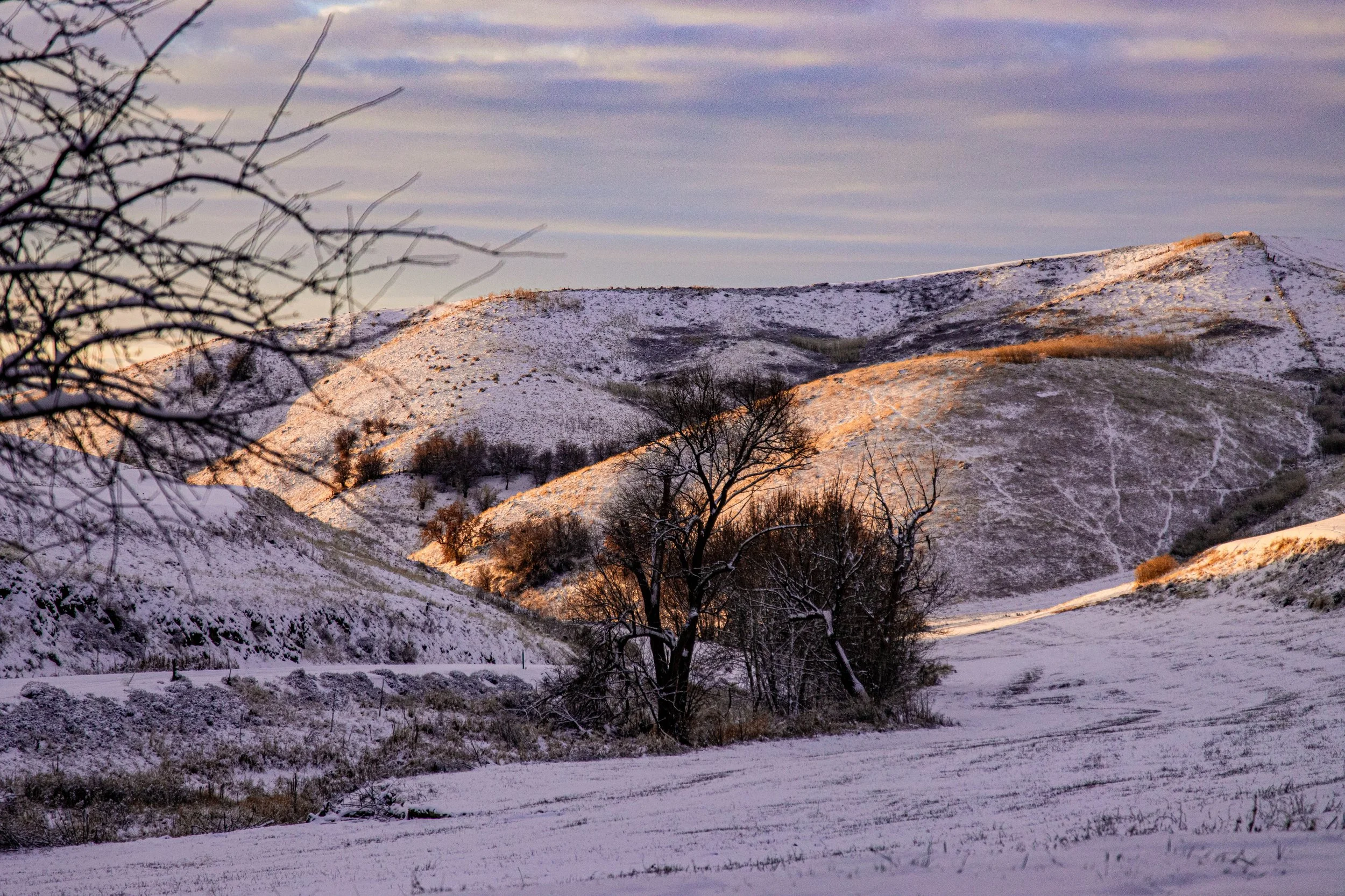 _MG_5235.jpg