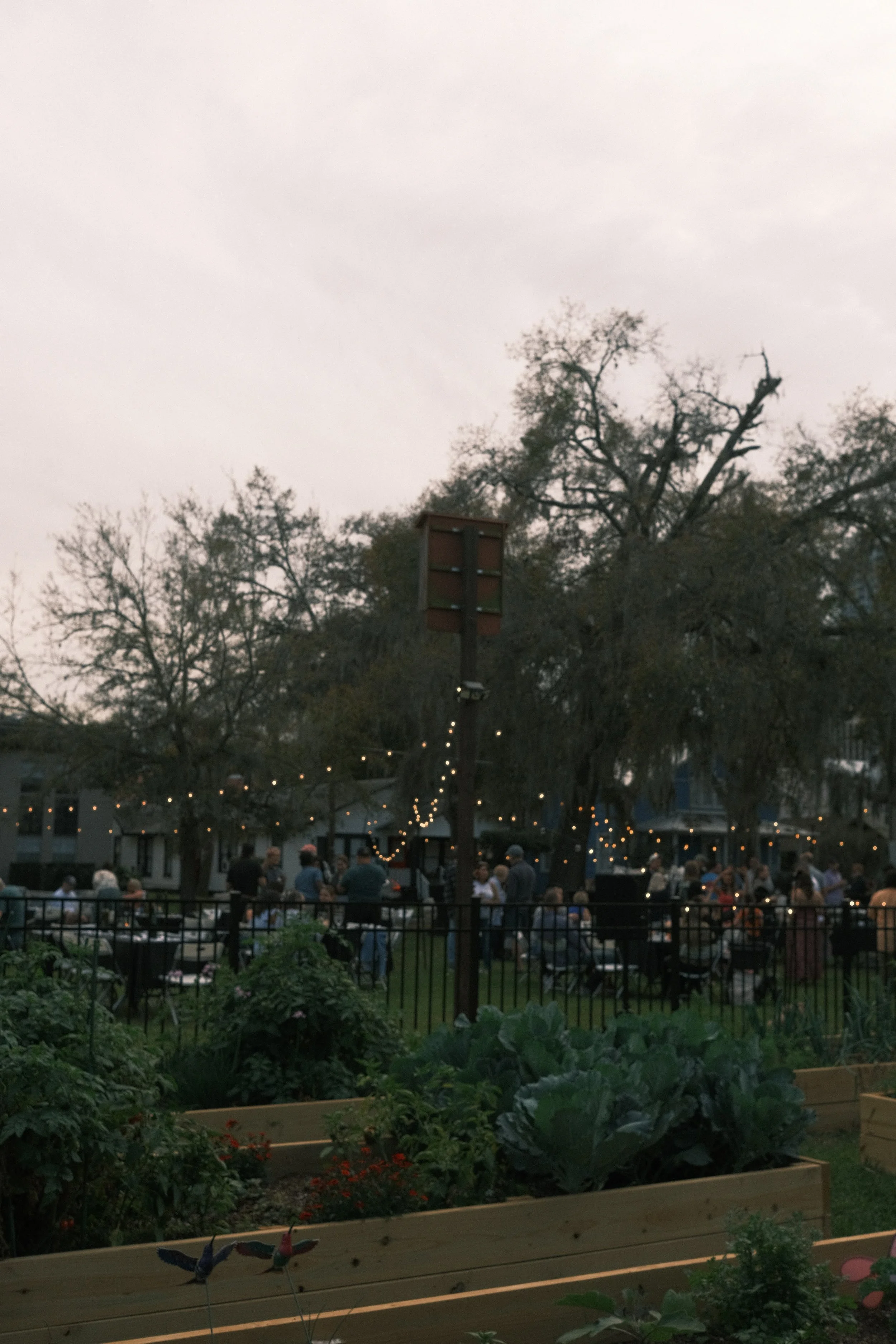 Harvest Dinner Evening Sets.JPG