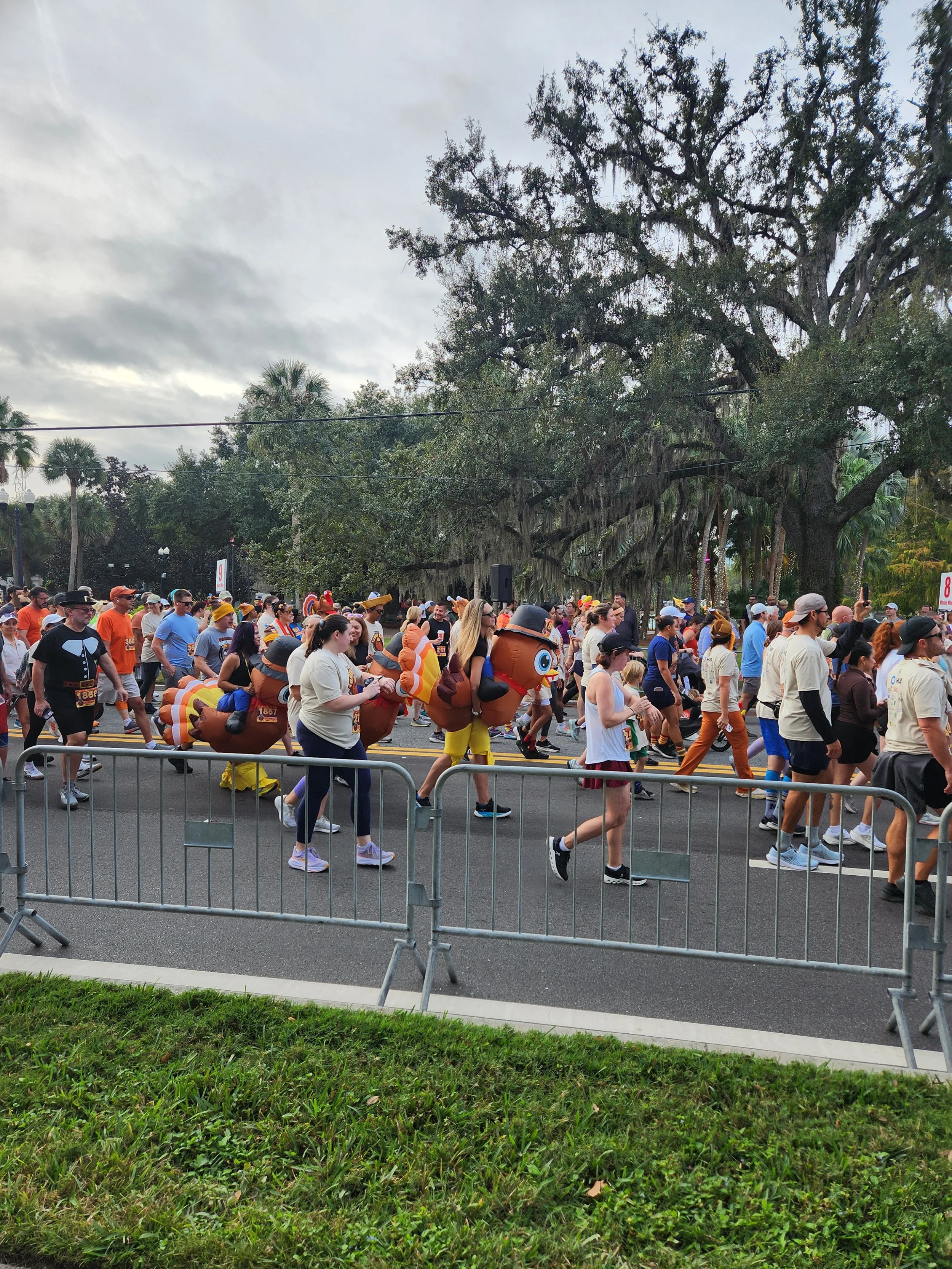 People participating in the annual Turkey Trot to benefit local seniors, some wearing turkey costumes, walking on a street lined with trees and a metal barricade in the foreground, under an overcast sky.