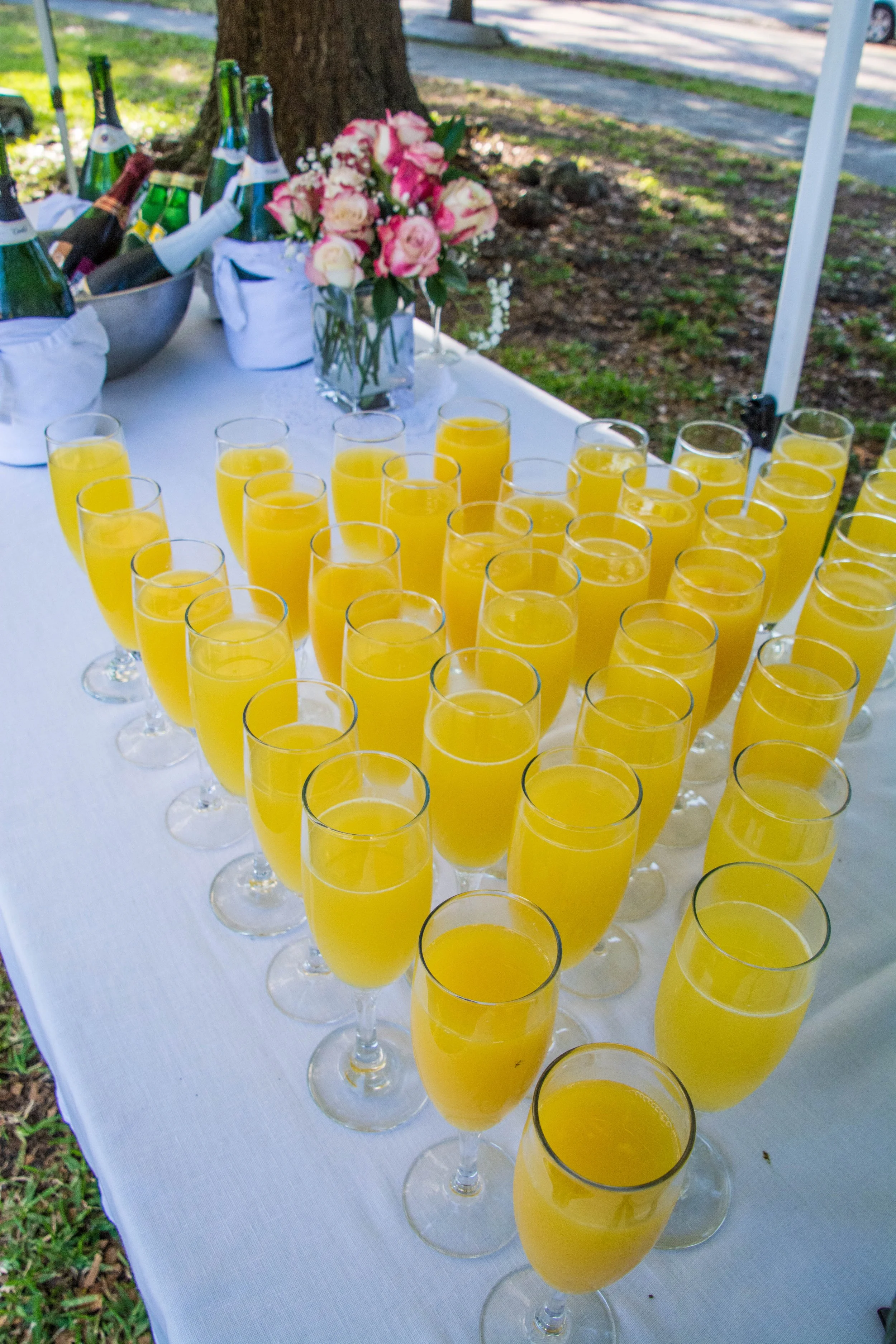 Community Garden ReDedication 4.6.19 (1 of 1)-14.jpg