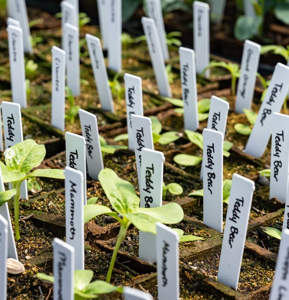 Annual Plant Sale at Forts Ferry Farm