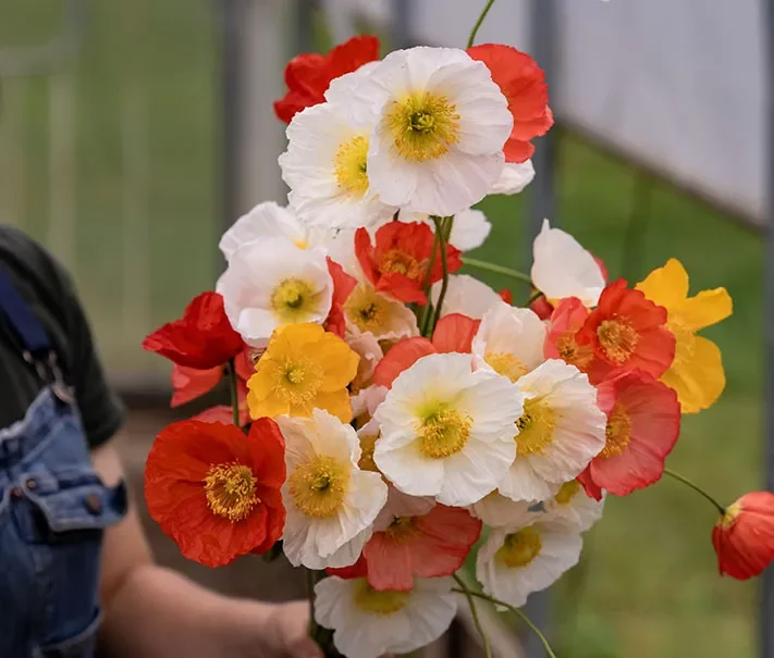 Forts Ferry Farm Mini Market &amp; Bouquet Bar