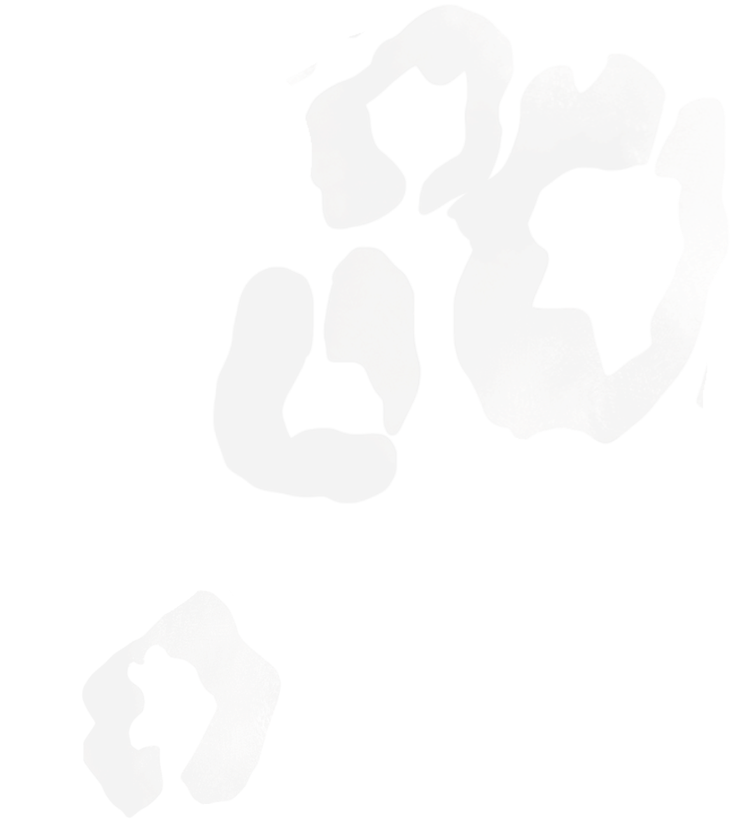 Abstract black and white artistic design with irregular shapes and textures.