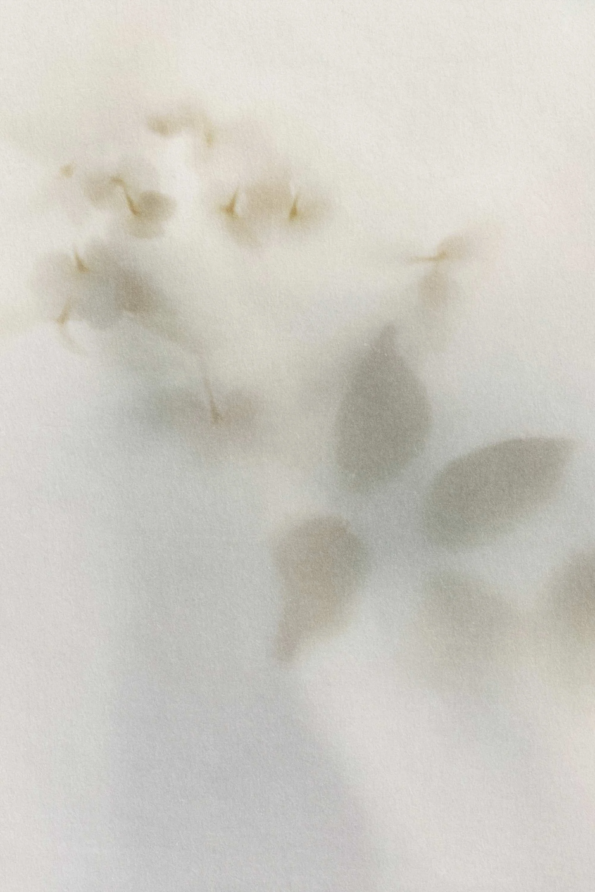 Close-up of a white surface with faint, brownish, irregular stains or marks.