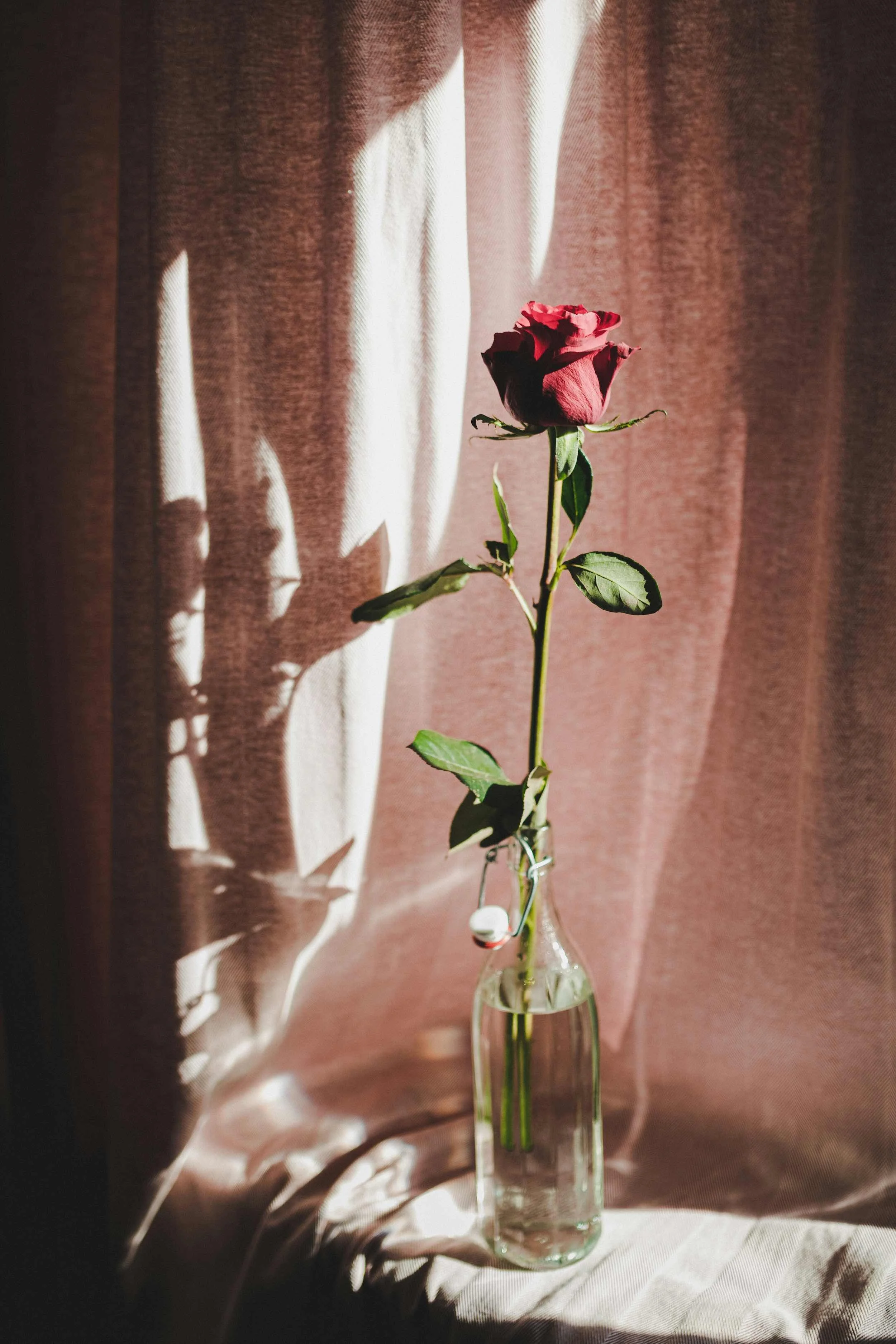 A single pink rose in a glass vase on a table with beige fabric, casting shadows on a brown fabric background.