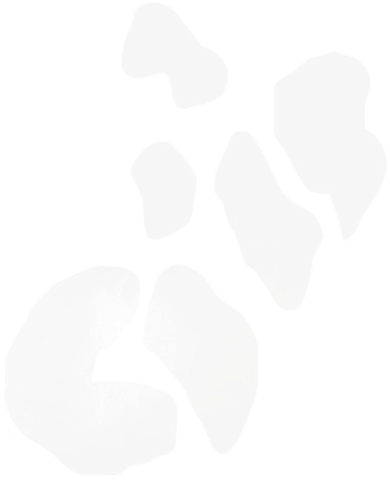 Cutout silhouettes of five variously shaped objects with a metallic, reflective surface.