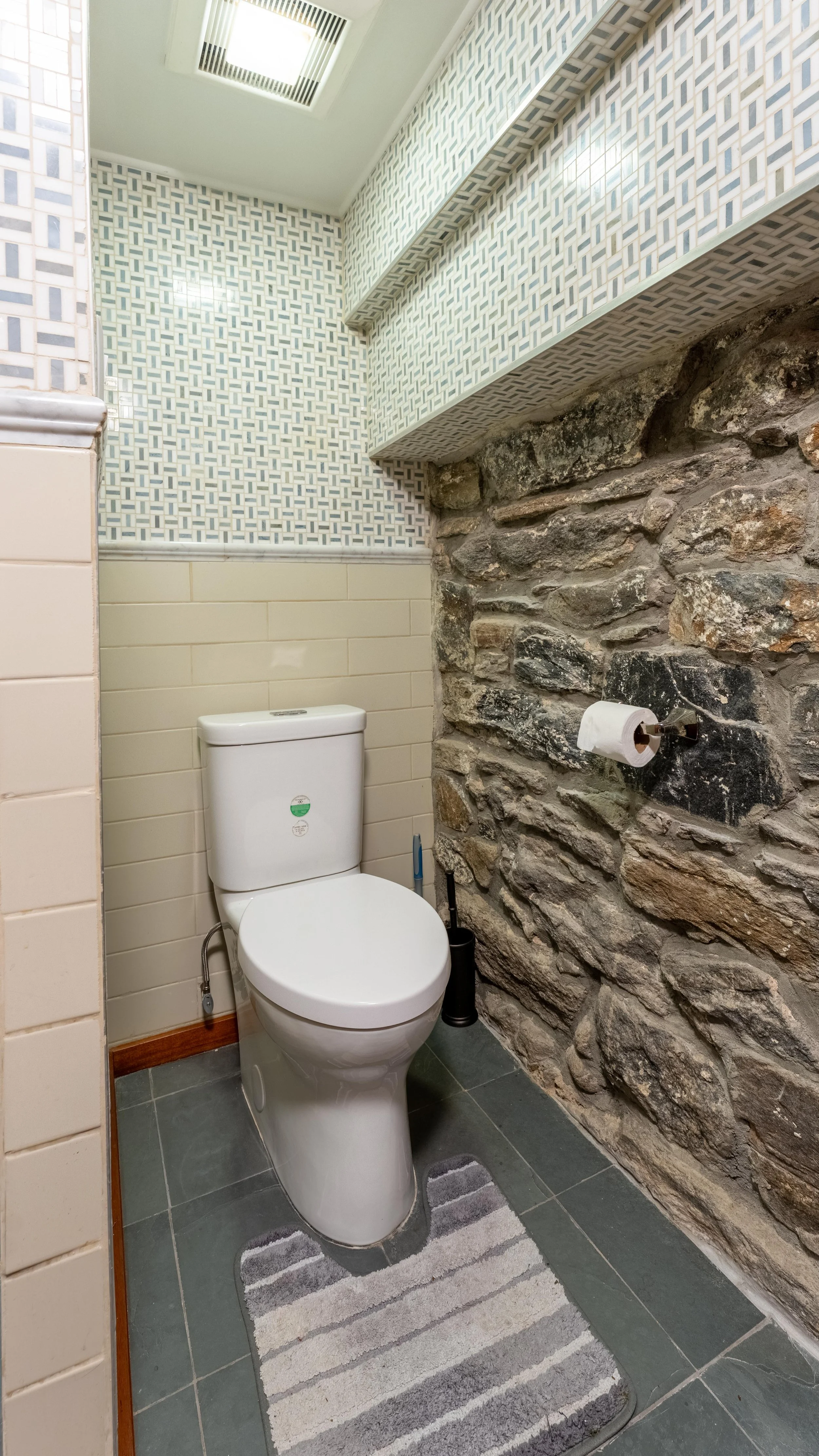 Prophoto_445 Greene Ave #1 Brooklyn_Basement_Ba2_3.jpg
