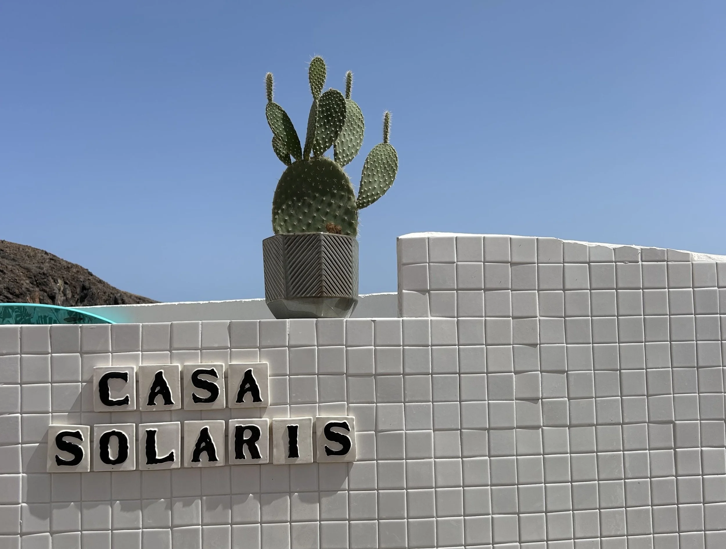 A potted cactus plant with multiple green pads and spines, placed on a tiled surface against a background of a clear blue sky and some white tiles with text reading "CASA SOLARIS."