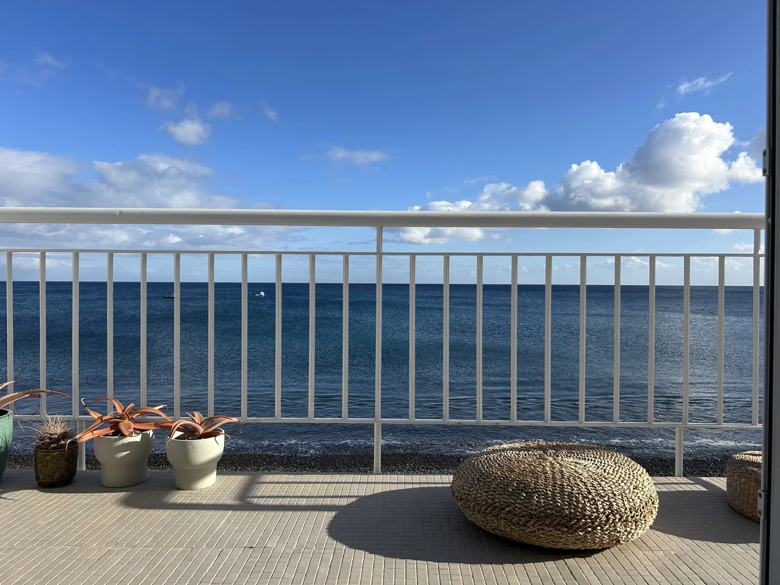 A view from a balcony with potted plants and woven cushions overlooking the ocean under a partly cloudy sky.