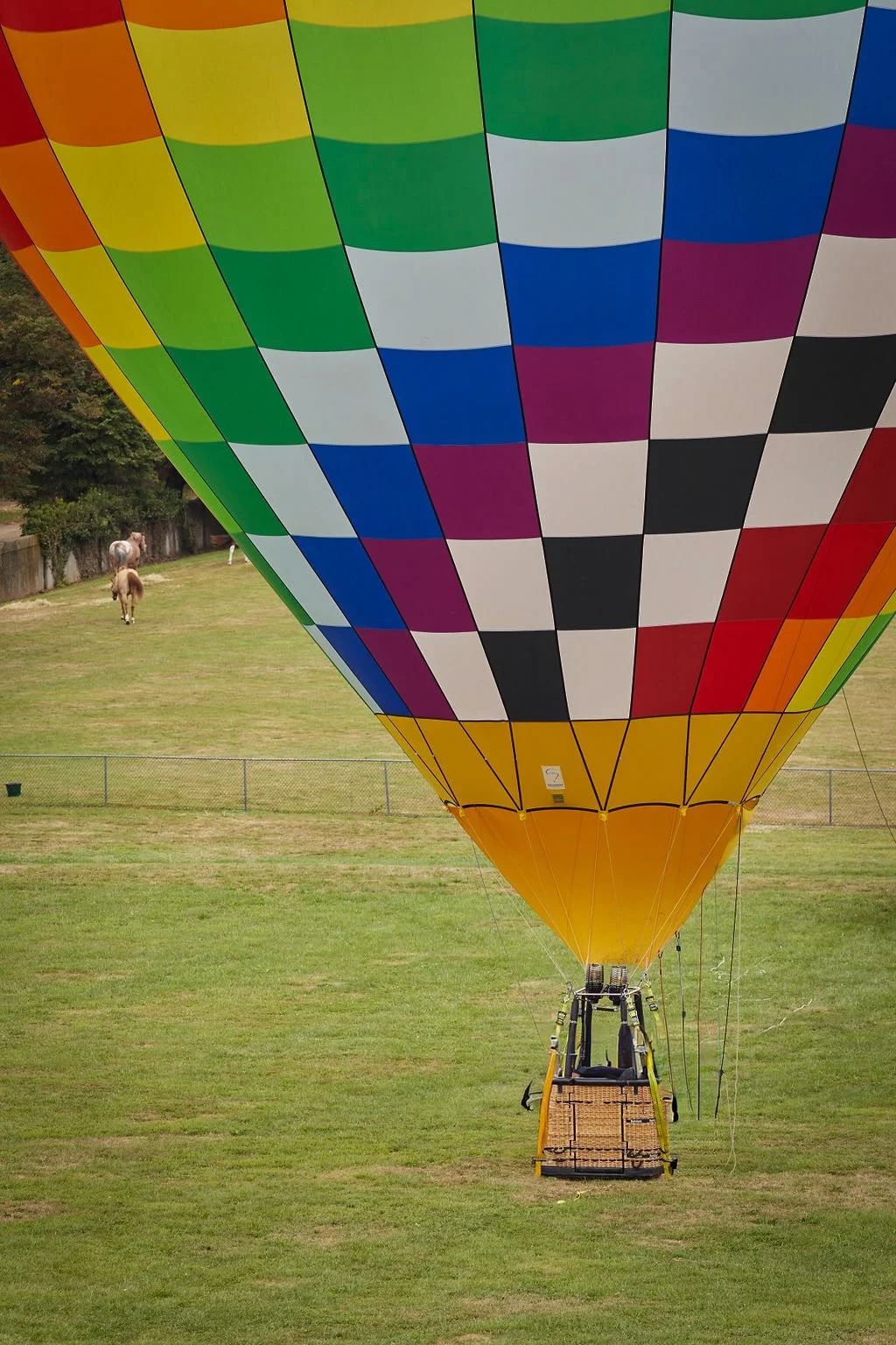 A hot air ballon flies at Oheka Castle - Cold Spring Harbor, New York