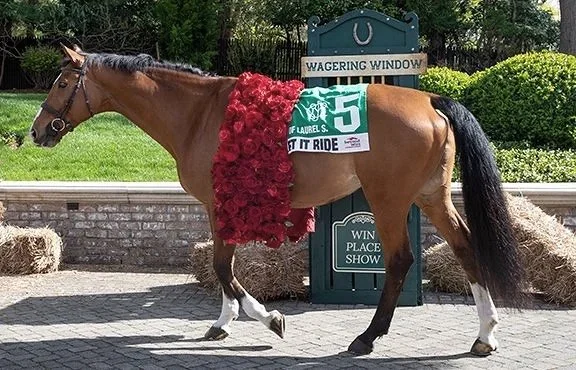 A horse dressed in floral garland and custom Derby-inspired detailing welcoming guests during the Kentucky Derby party celebration.