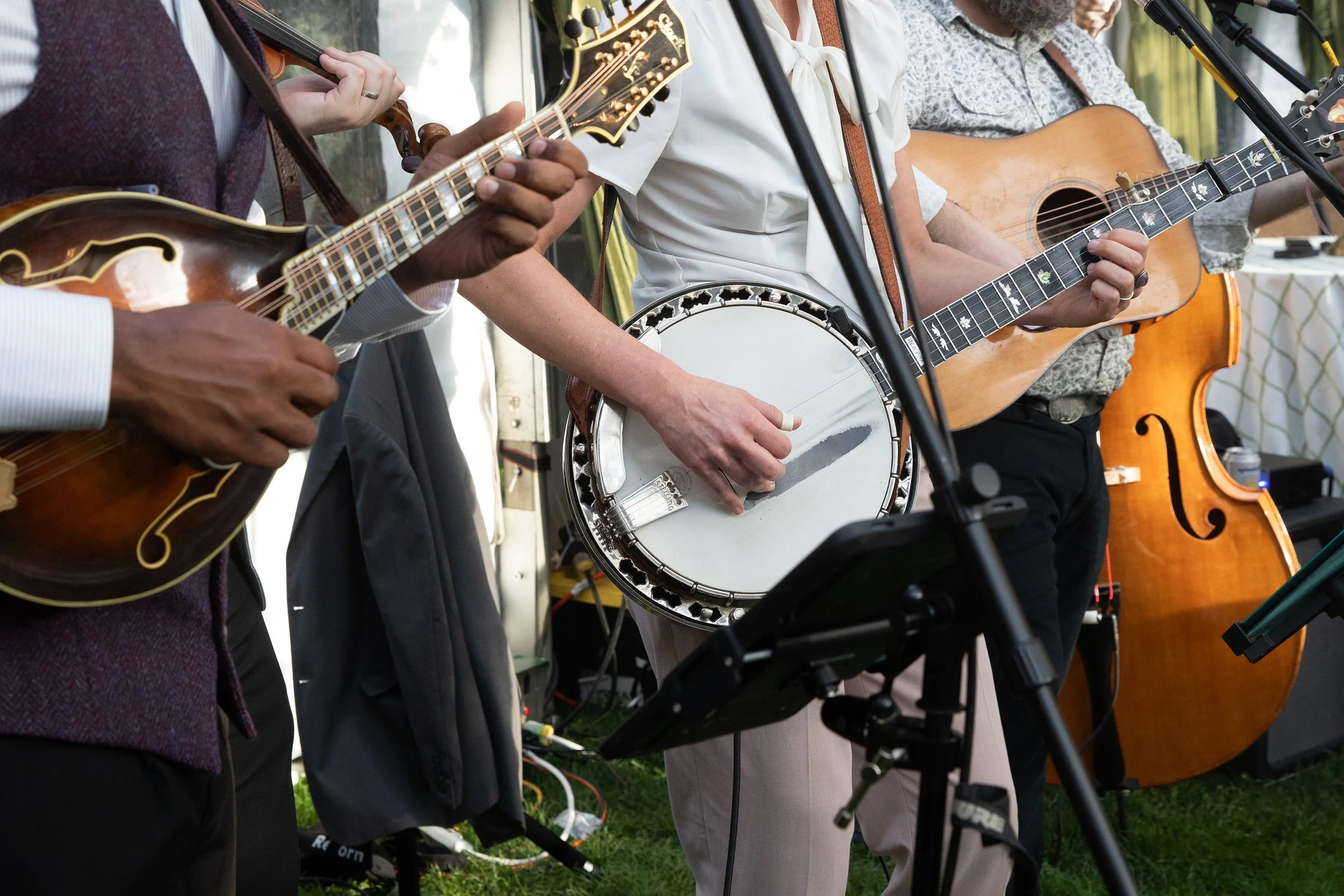 Close-up of several musicians playing stringed instruments during an outdoor performance, including mandolin and guitar.