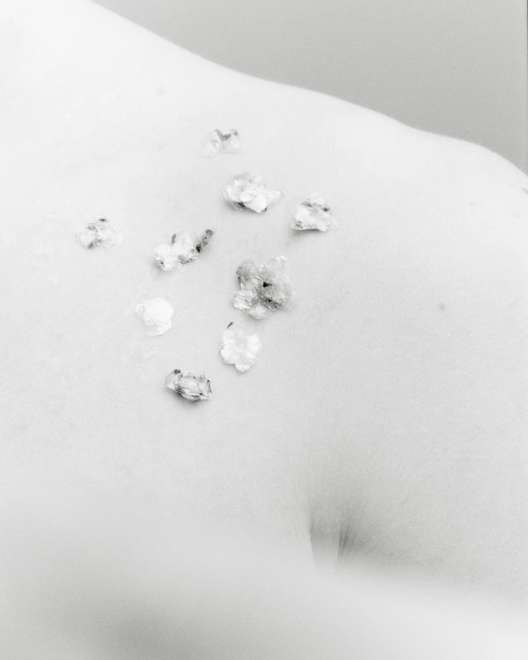 scans_210_20262367.jpg