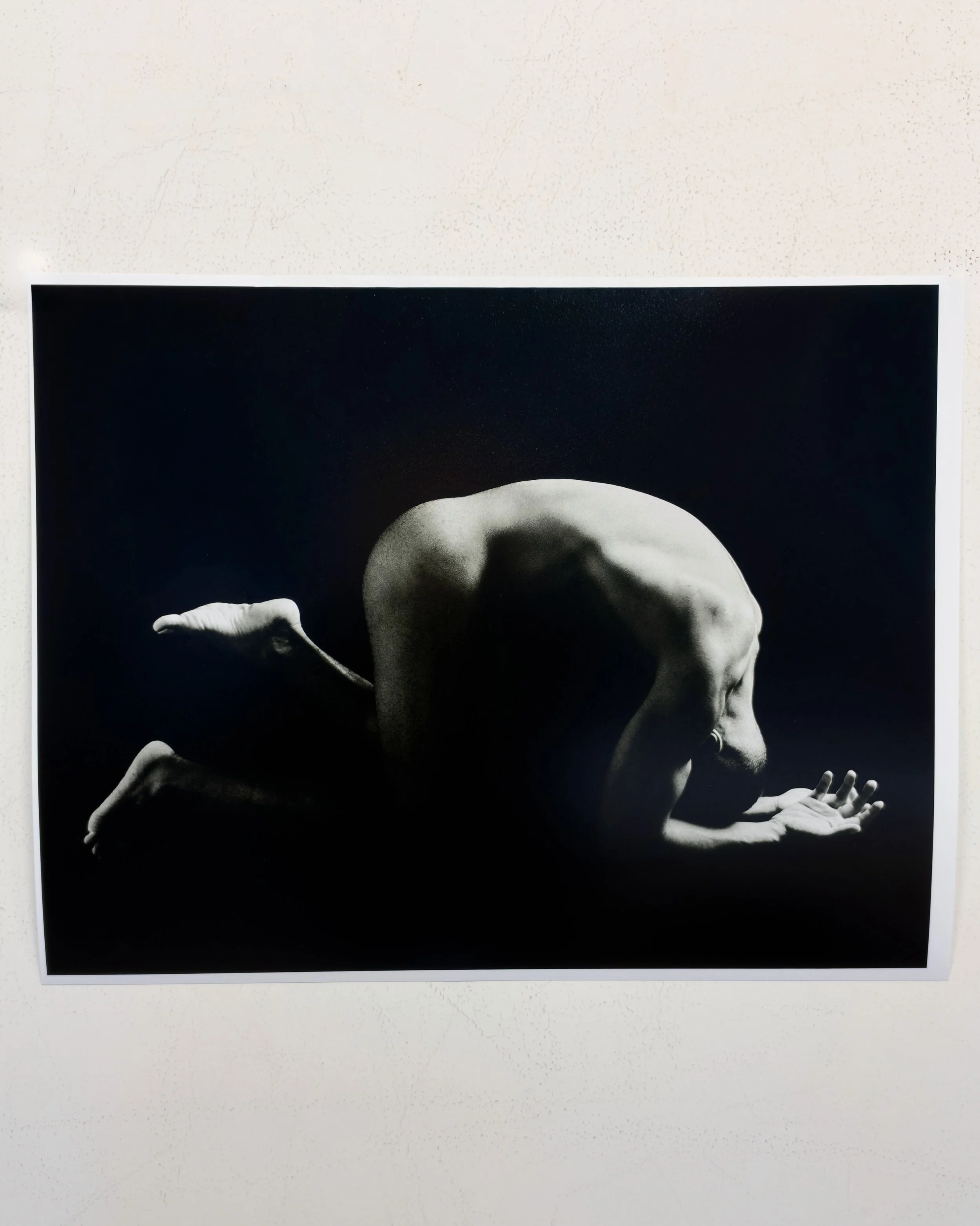 Silentium, 2026 17x22 in.
With @osbiel_lazo 
Mouvement direction @yeldadelcarmen 
Photo assistant @juan_ciego