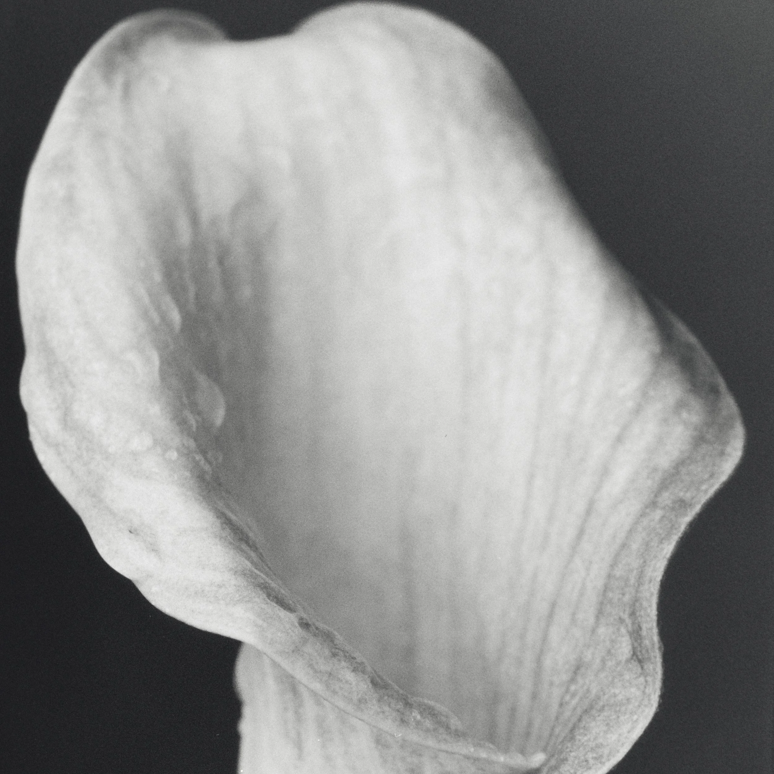 210_final_project0589.jpg