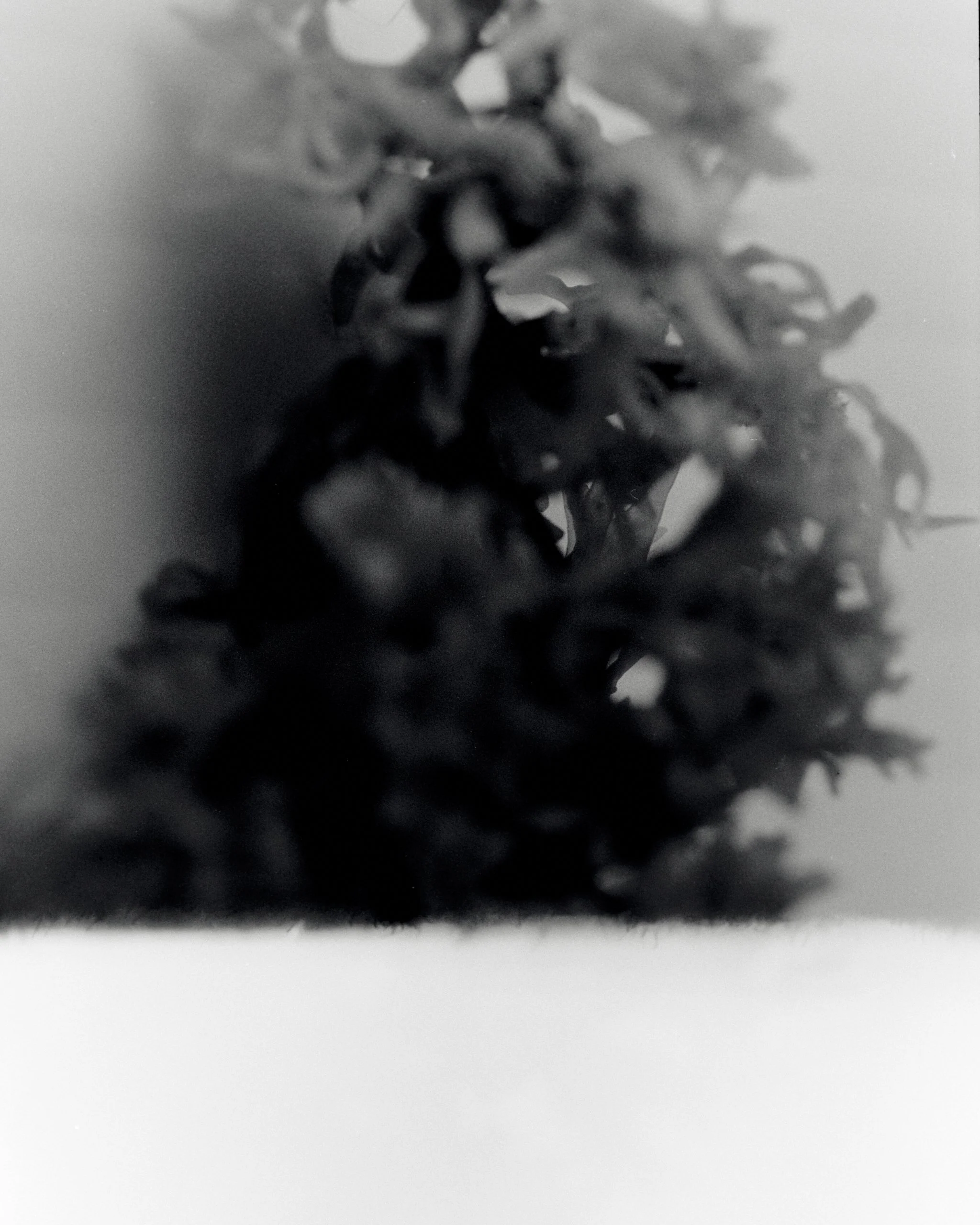 scans_210_20262374.jpg
